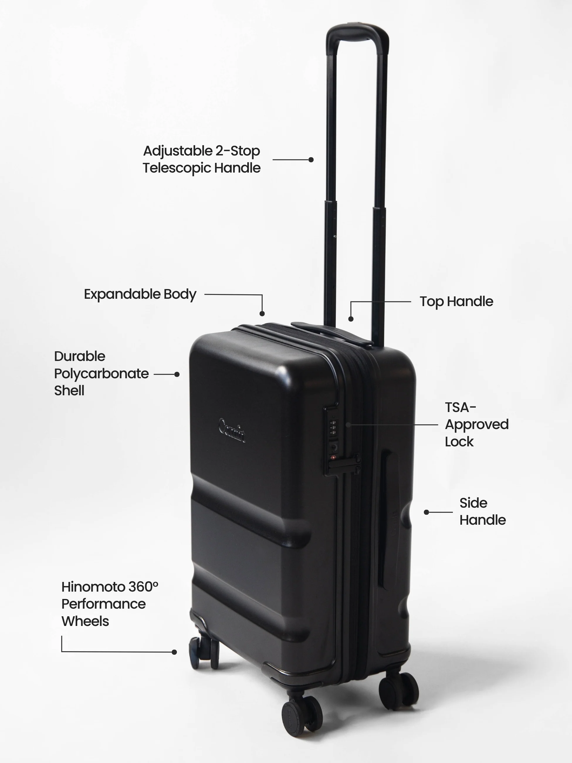 Carry-On Companion Luggage