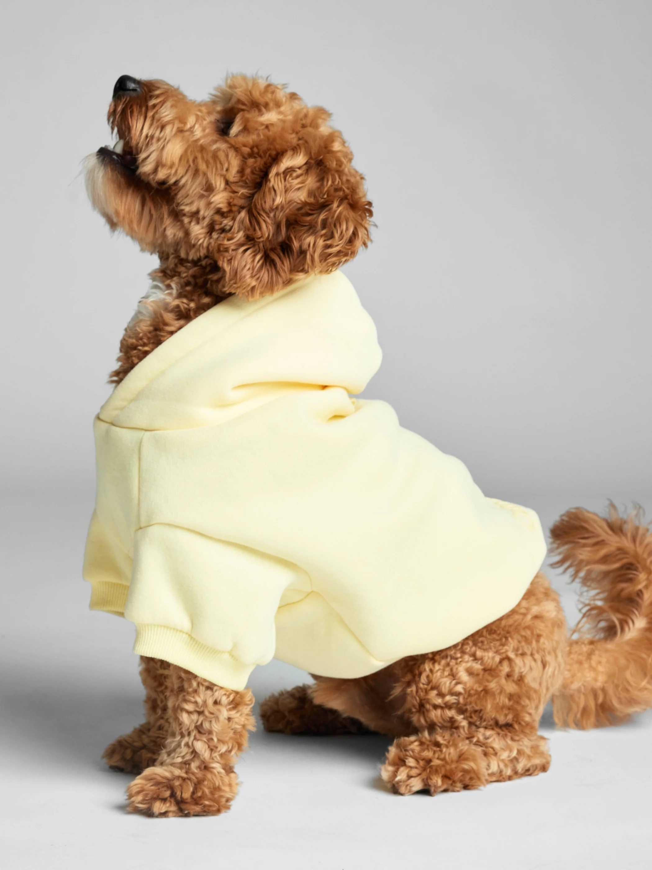 Minimalist Paw Hoodie