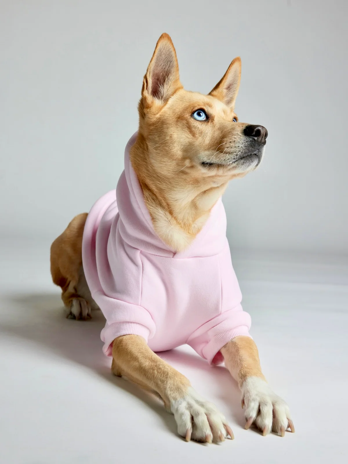 Minimalist Paw Hoodie