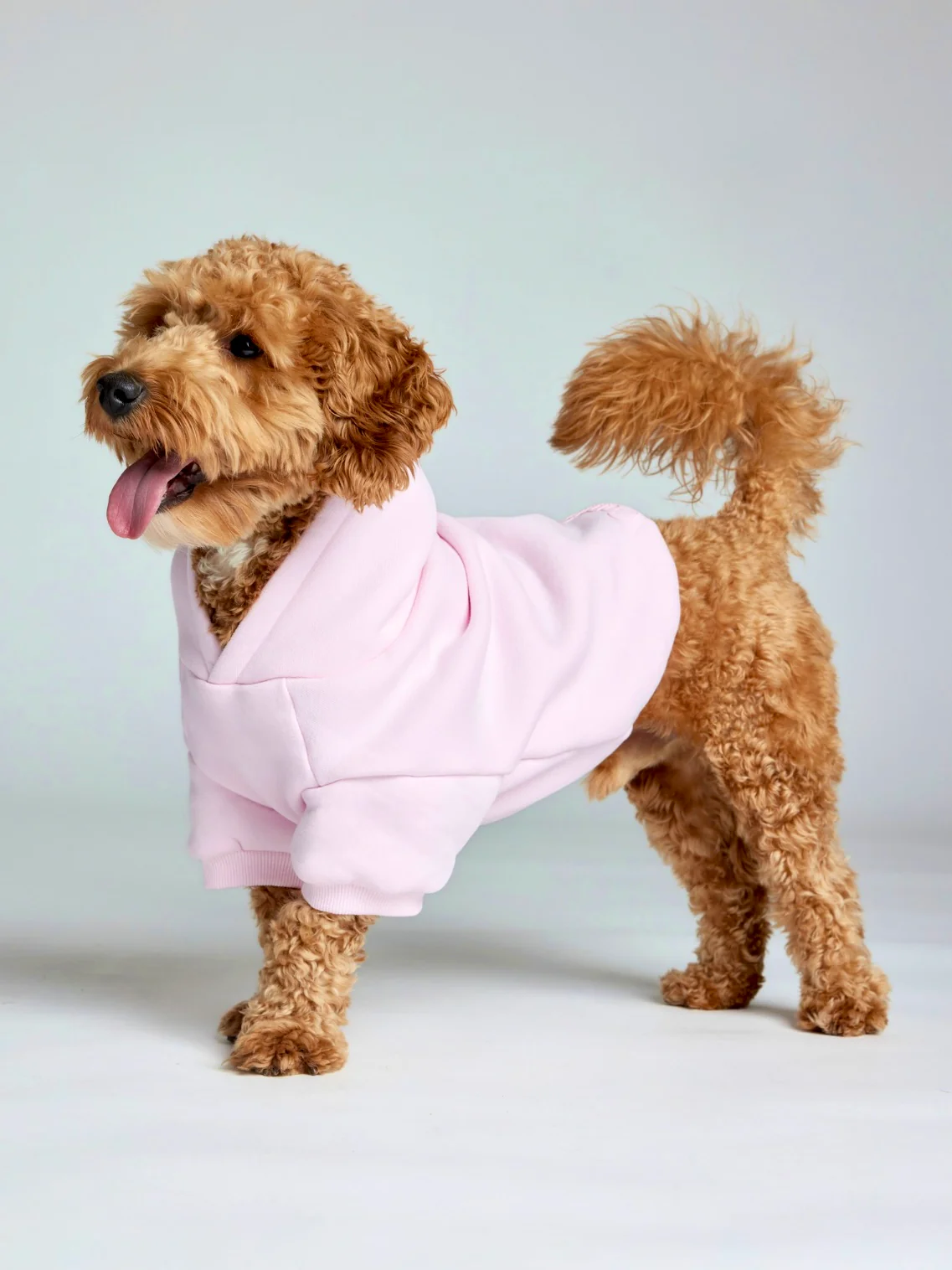 Minimalist Paw Hoodie