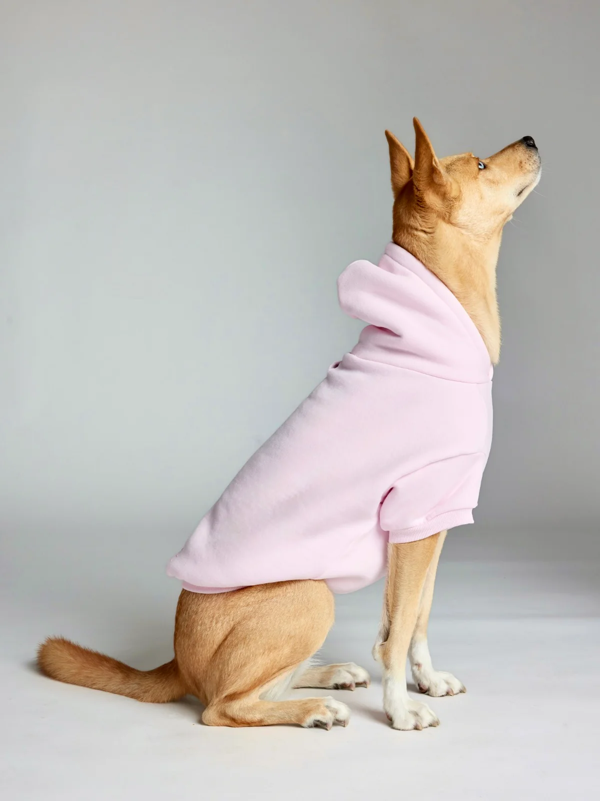 Minimalist Paw Hoodie