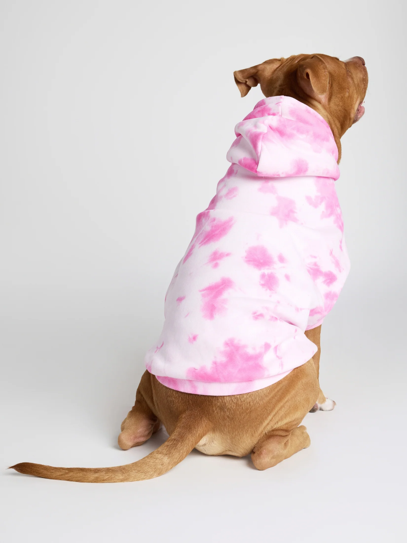 Minimalist Paw Hoodie