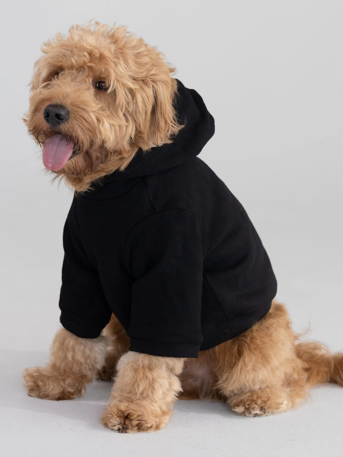Tranquil Paw Hoodie