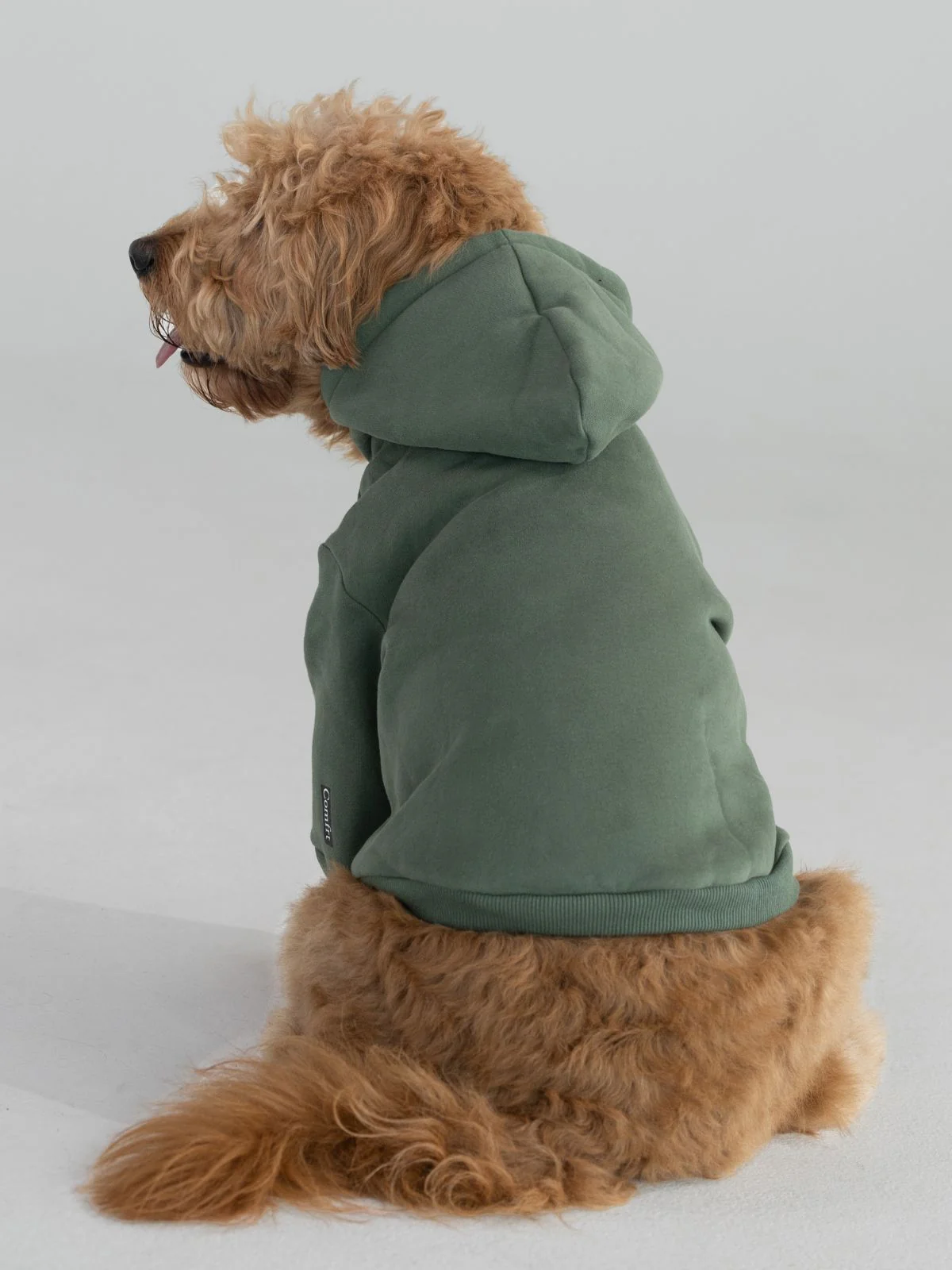 Standard Paw Hoodie
