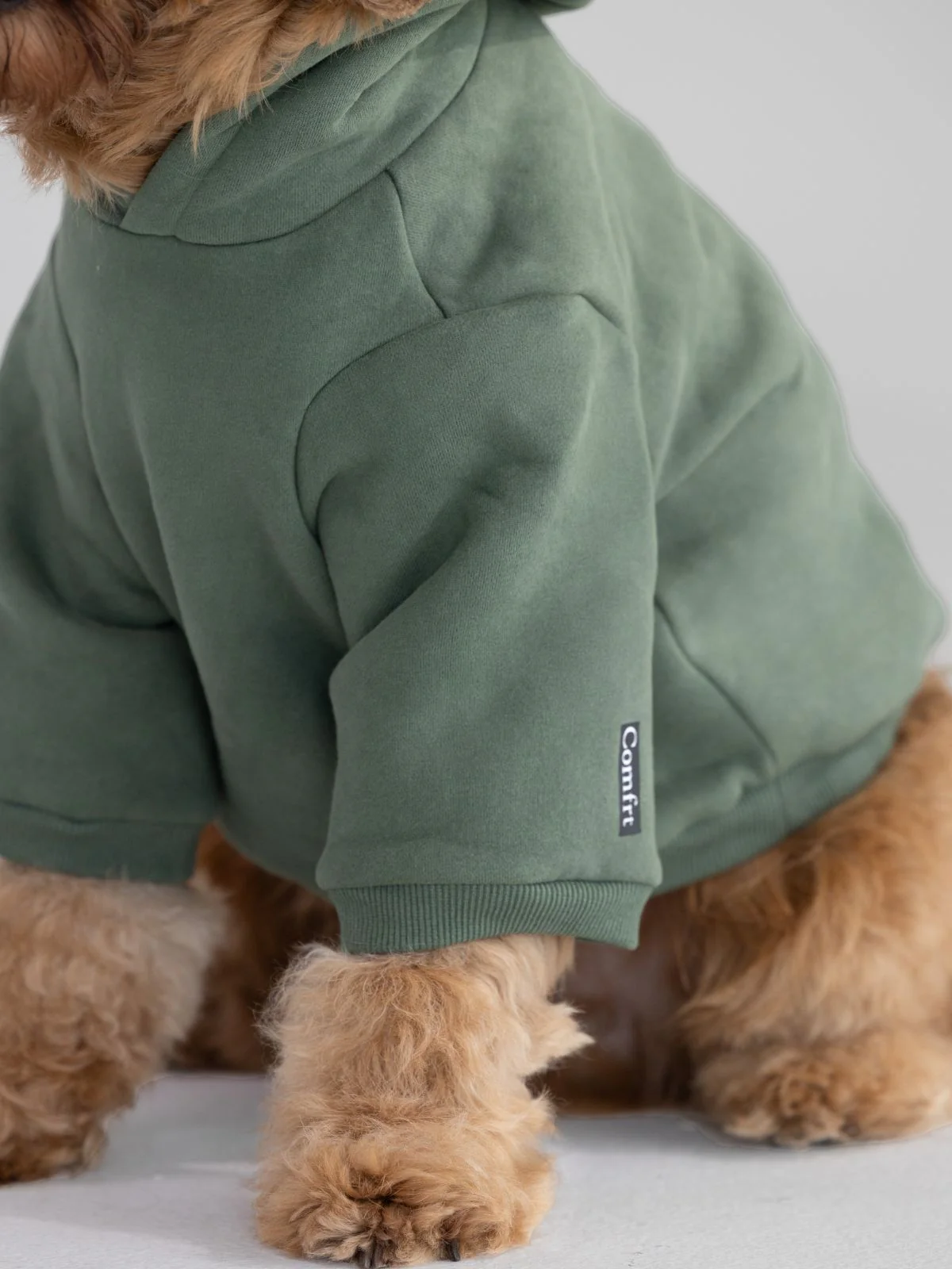 Standard Paw Hoodie