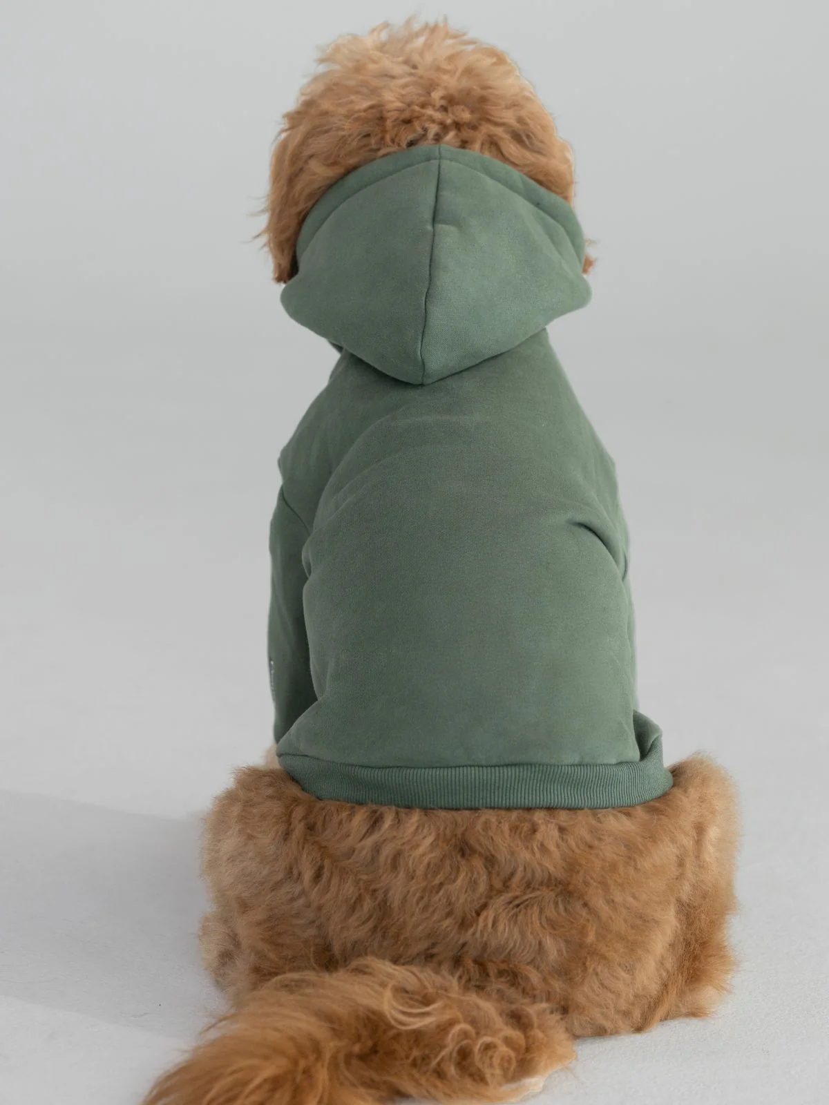 Standard Paw Hoodie