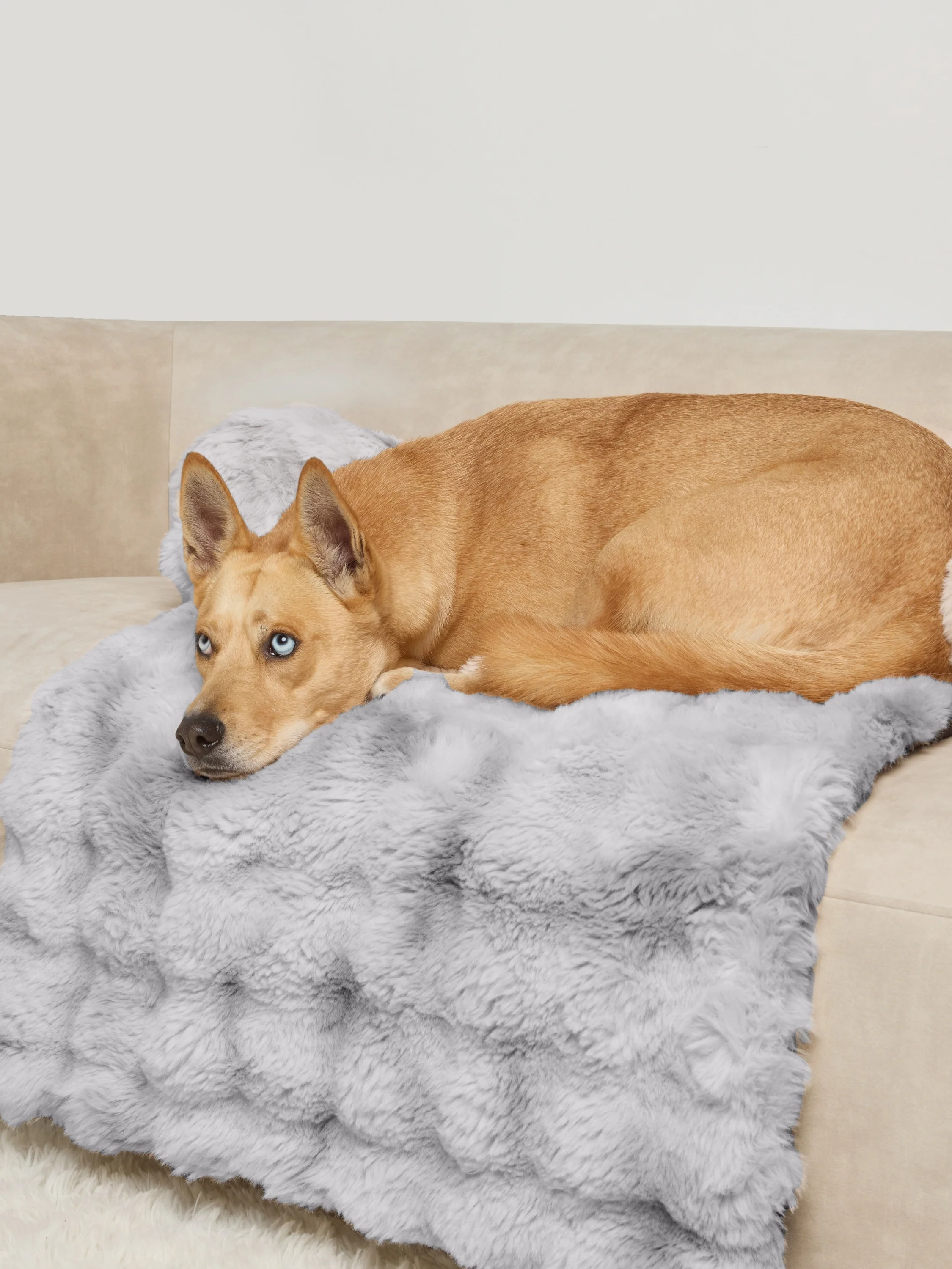 Dream Cloud Pet Sofa Bed
