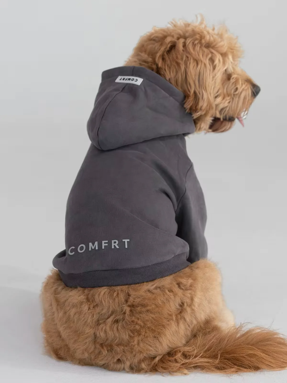 Paws Cozy Everyday Bundle 5 Paws Cozy Everyday Bundle