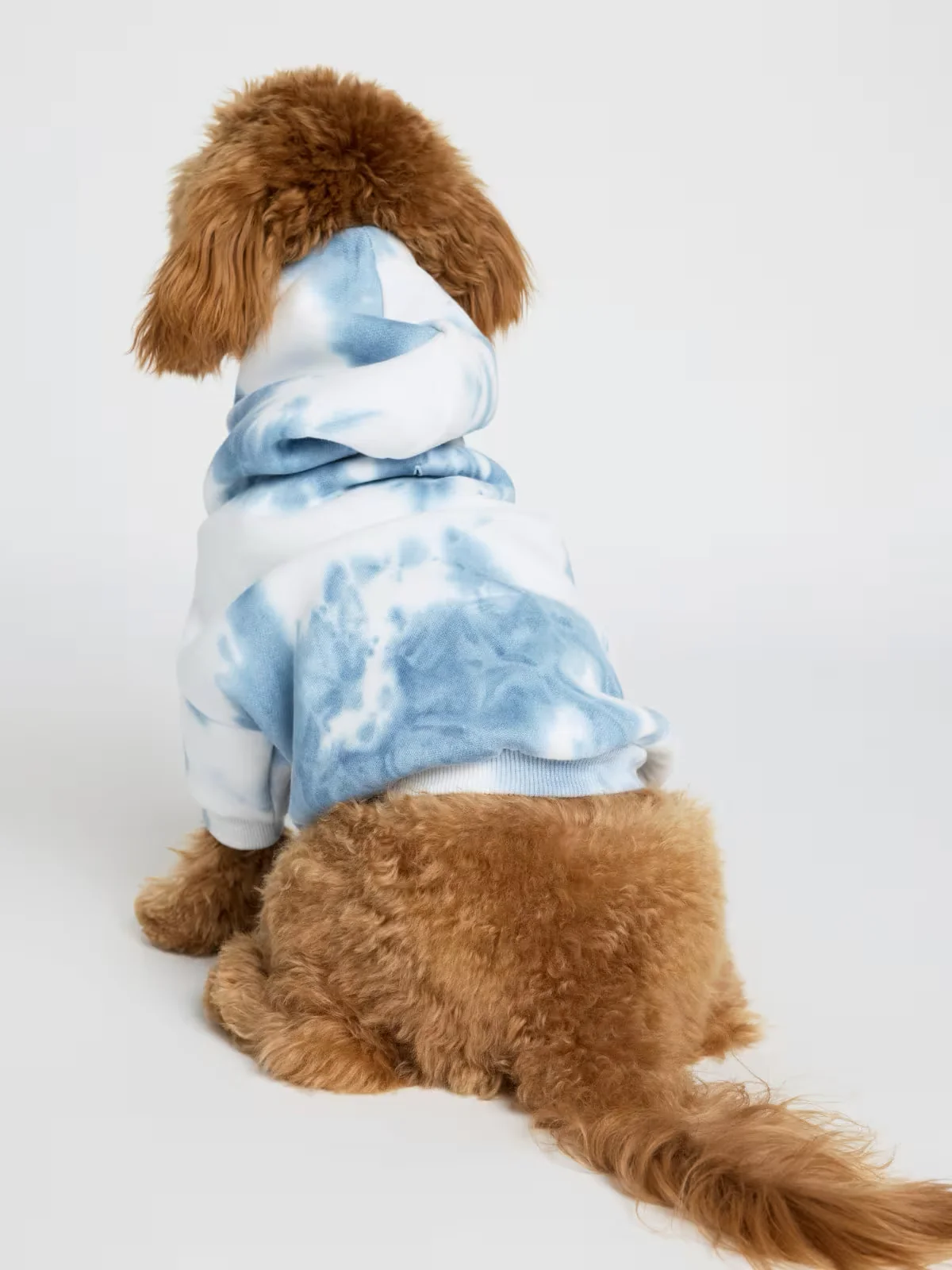 Paws Classics Bundle 3 Paws Classics Bundle