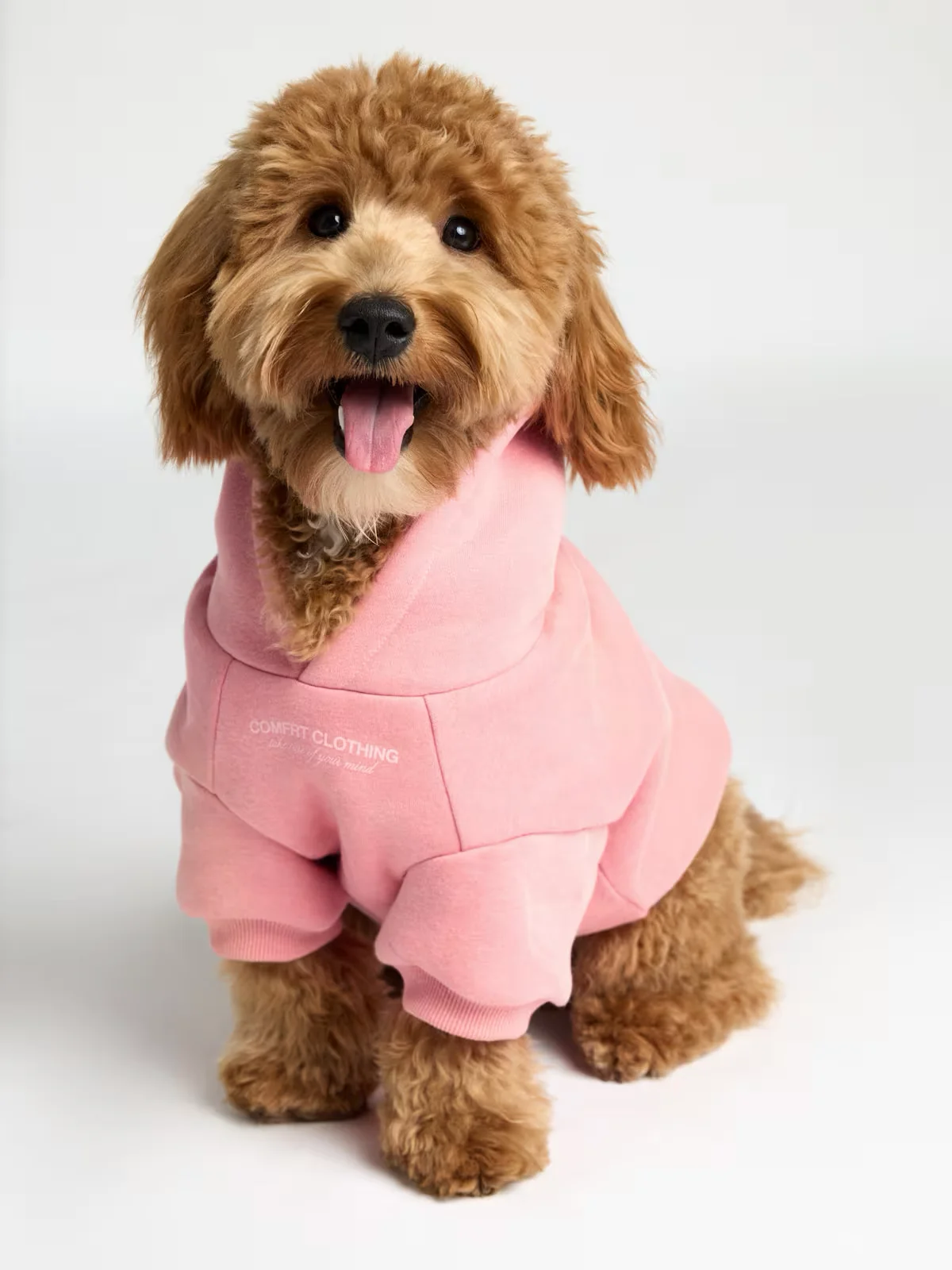 Paws Classics Bundle 4 Paws Classics Bundle