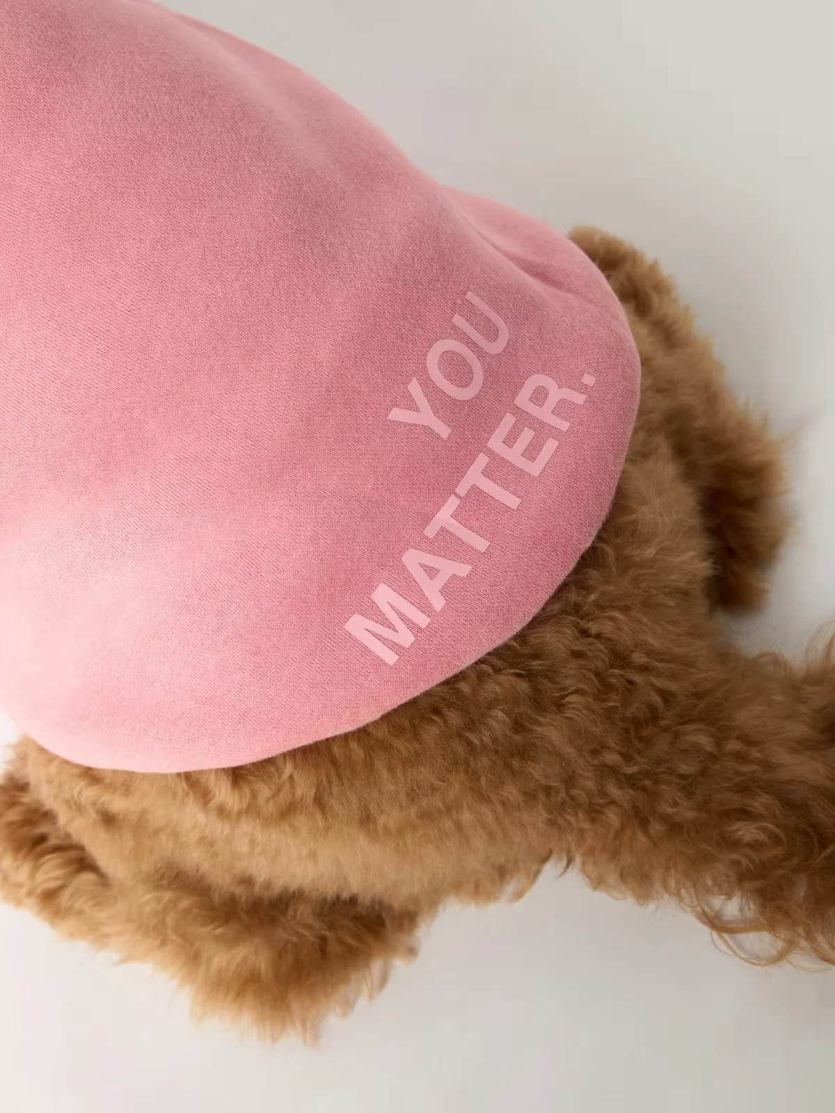 Paws Classics Bundle 5 Paws Classics Bundle