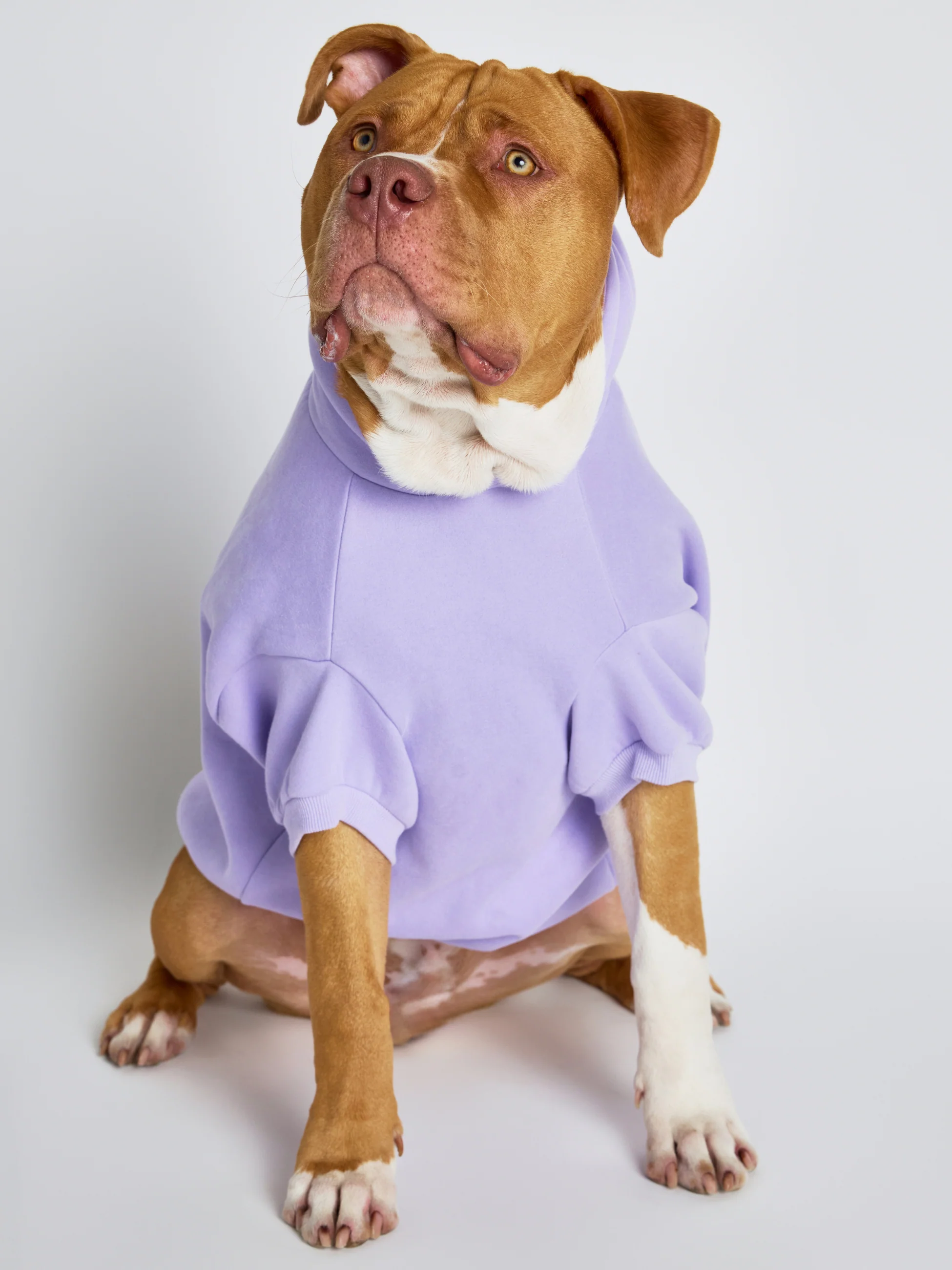 Pastel Paw Hoodie - Pre Order 10 Pastel Paw Hoodie - Pre Order