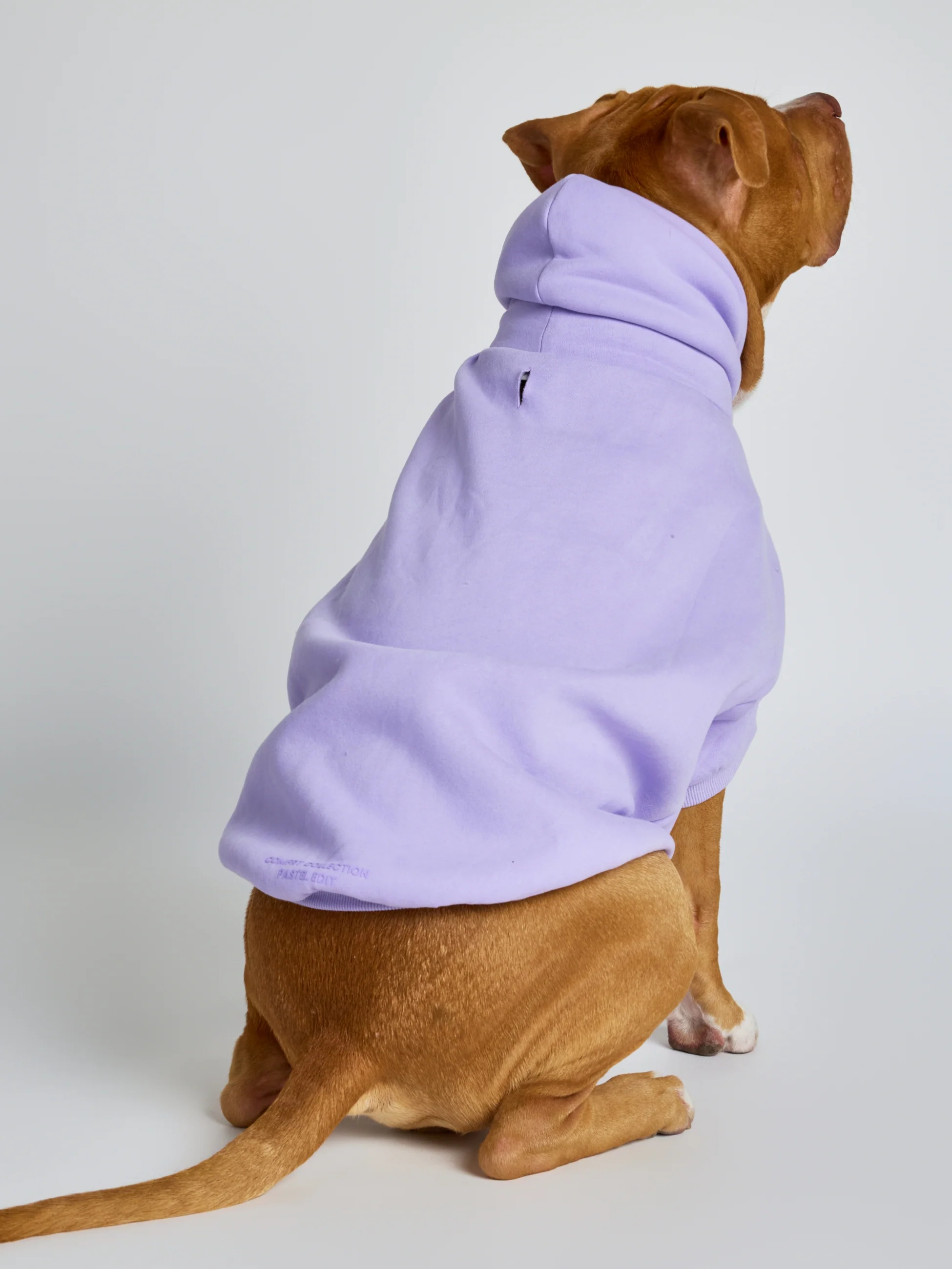Pastel Paw Hoodie - Pre Order 11 Pastel Paw Hoodie - Pre Order