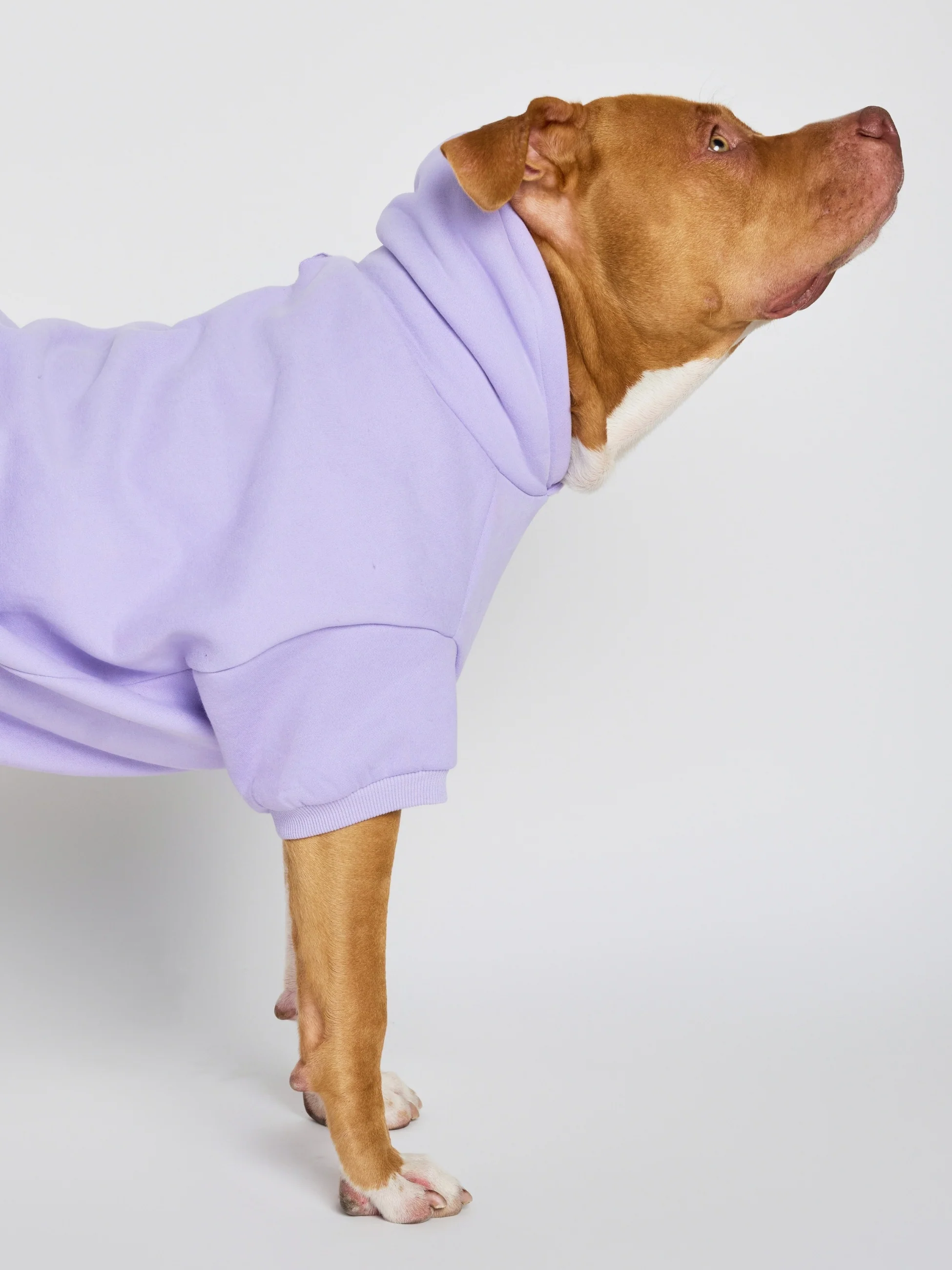 Pastel Paw Hoodie - Pre Order 14 Pastel Paw Hoodie - Pre Order