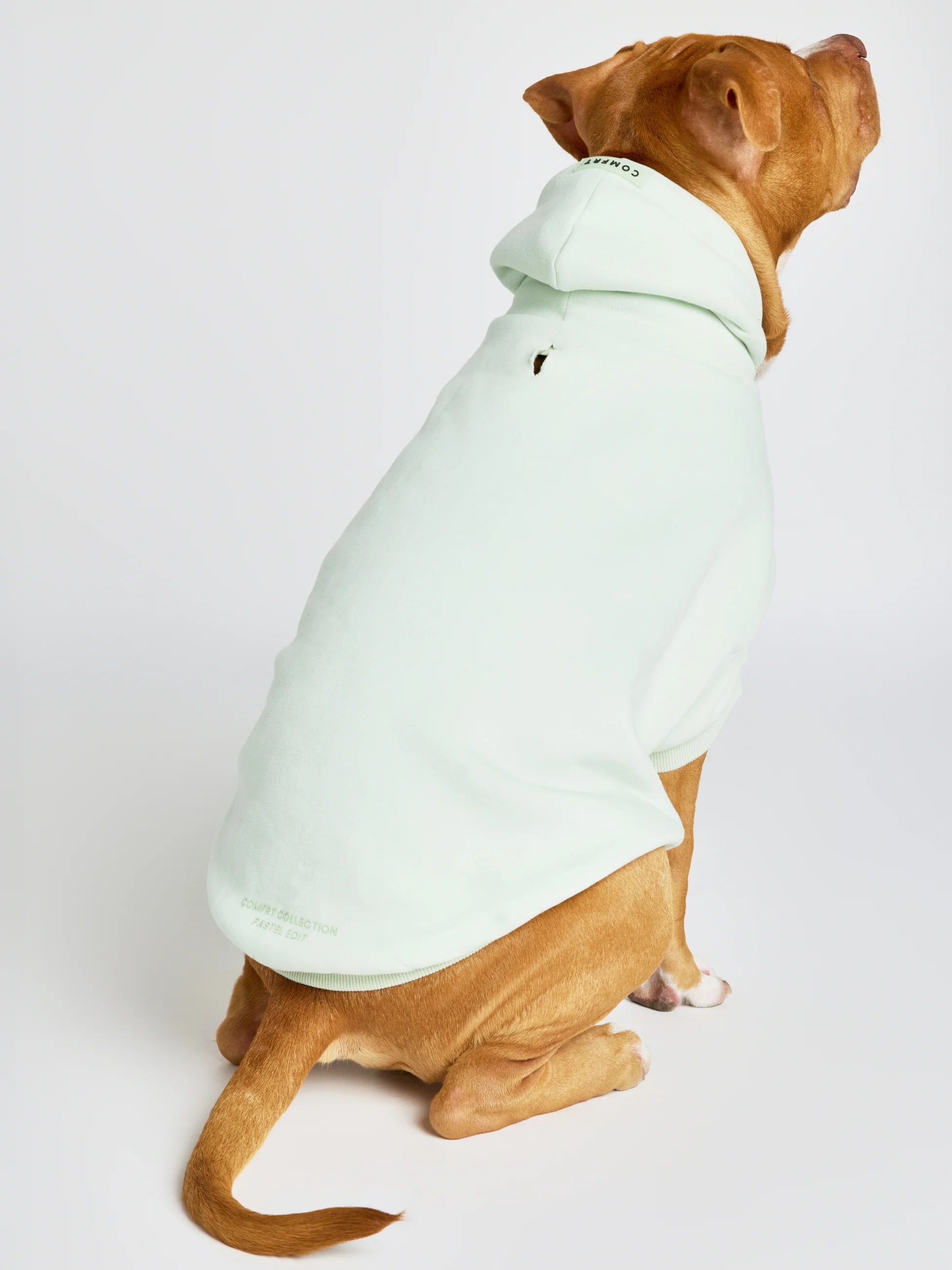 Pastel Paw Hoodie - Pre Order 17 Pastel Paw Hoodie - Pre Order