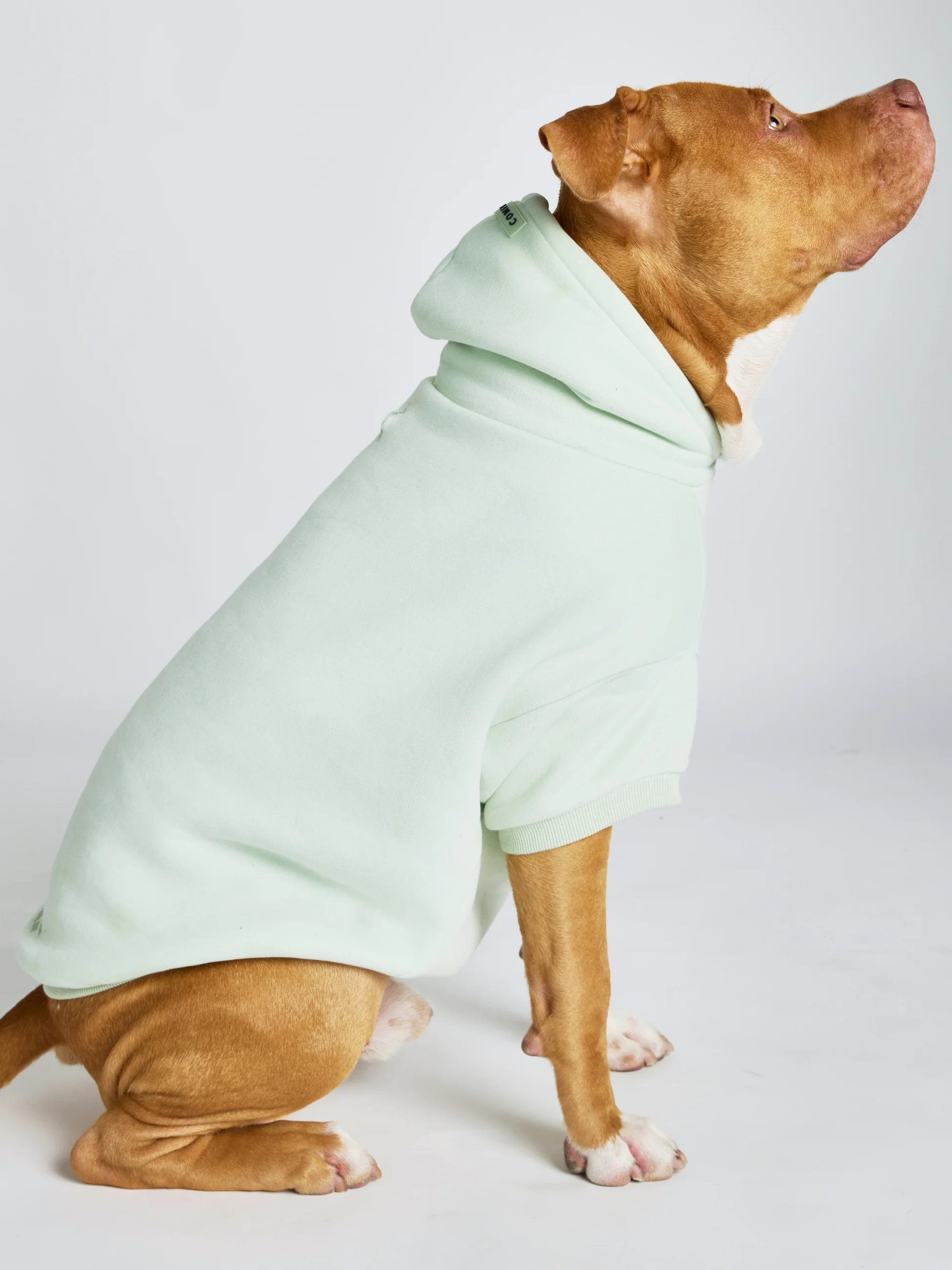 Pastel Paw Hoodie - Pre Order 19 Pastel Paw Hoodie - Pre Order