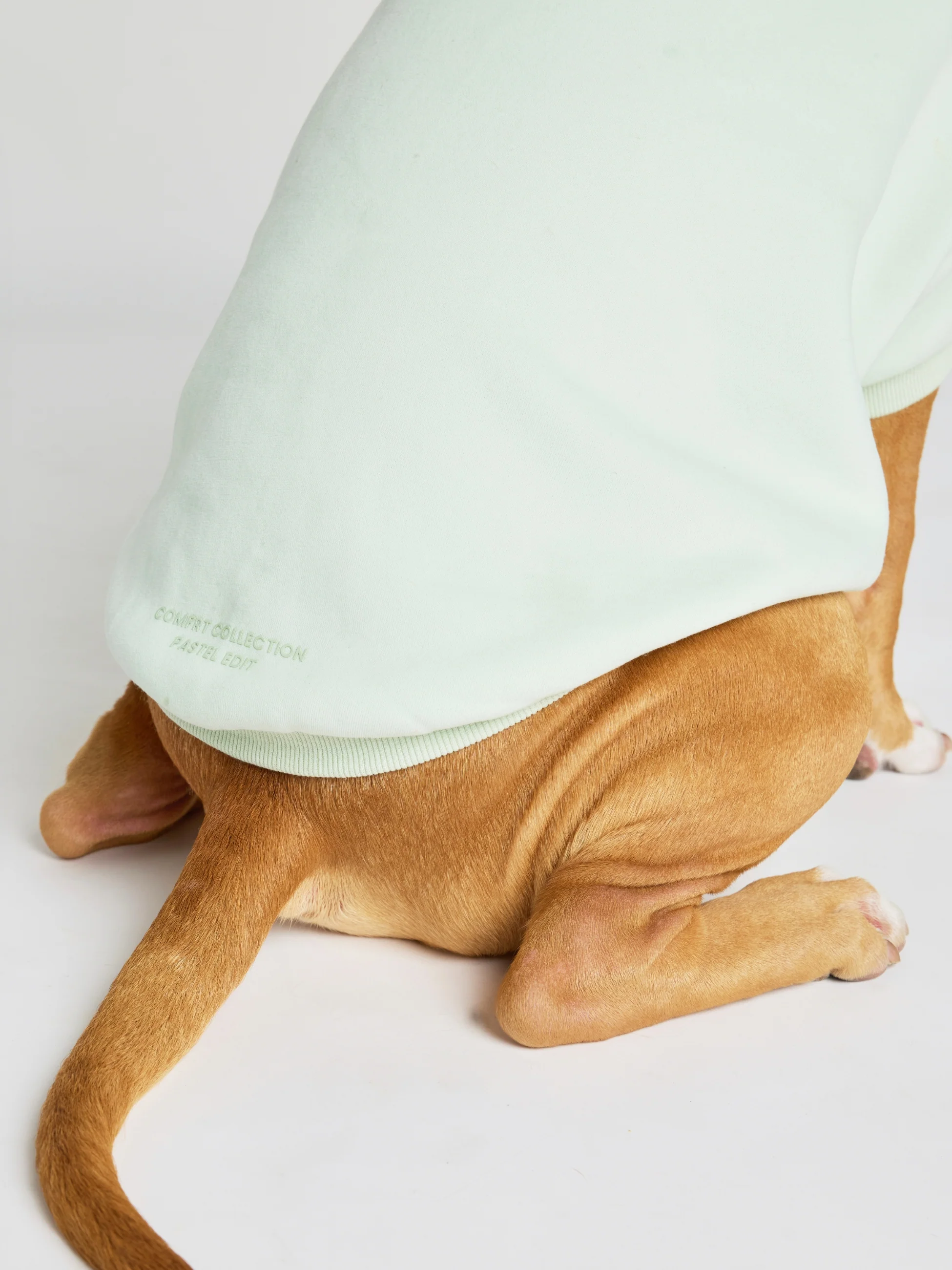 Pastel Paw Hoodie - Pre Order 20 Pastel Paw Hoodie - Pre Order