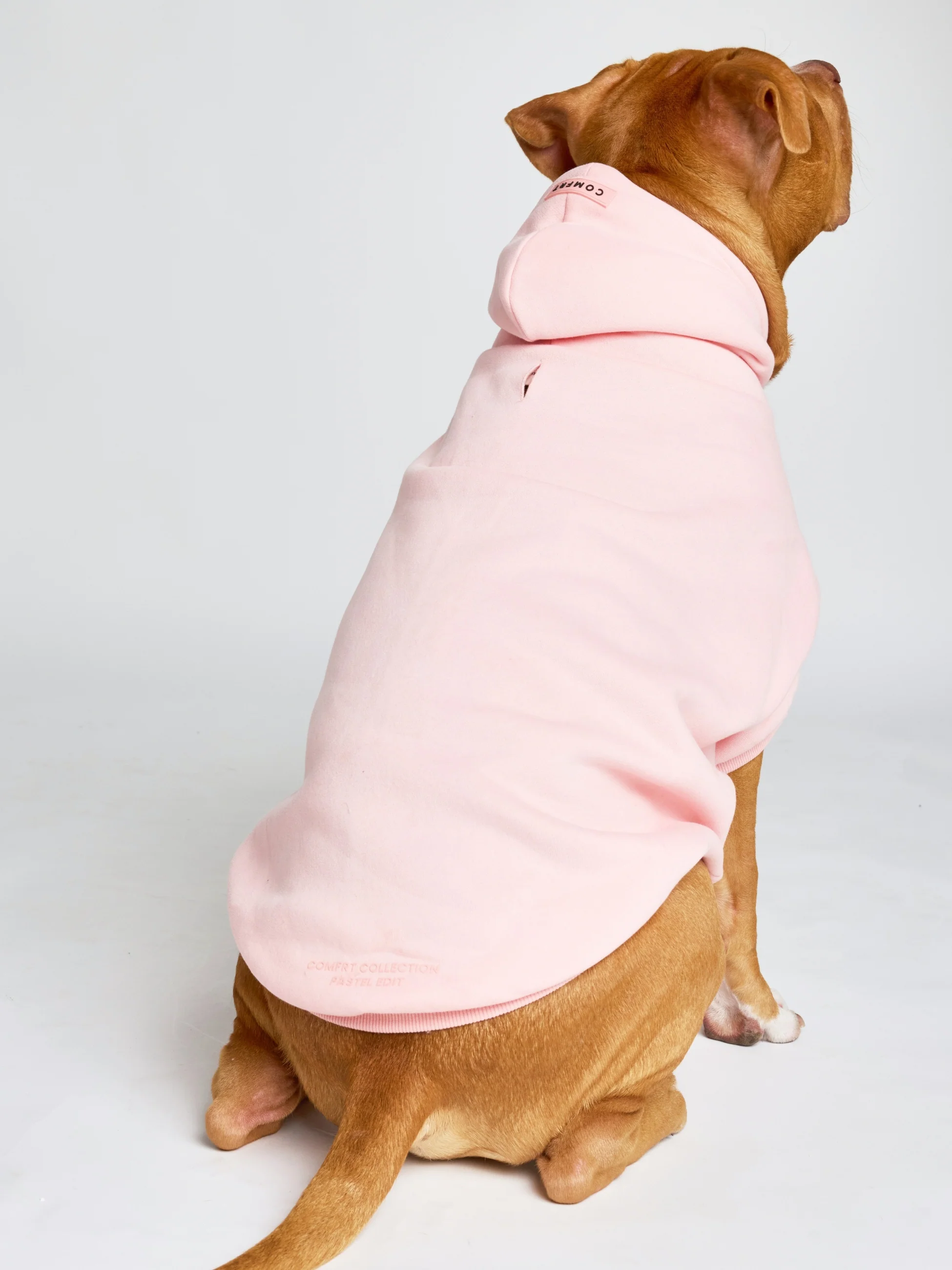 Pastel Paw Hoodie - Pre Order 6 Pastel Paw Hoodie - Pre Order