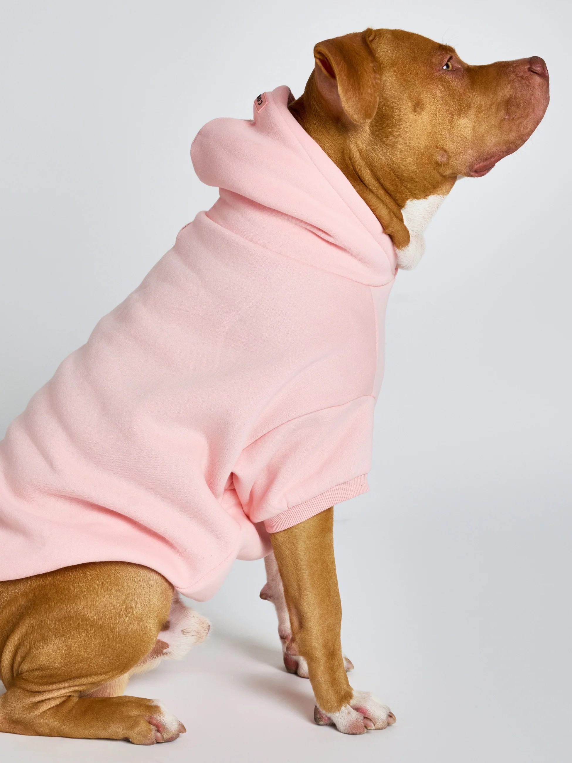 Pastel Paw Hoodie - Pre Order 8 Pastel Paw Hoodie - Pre Order