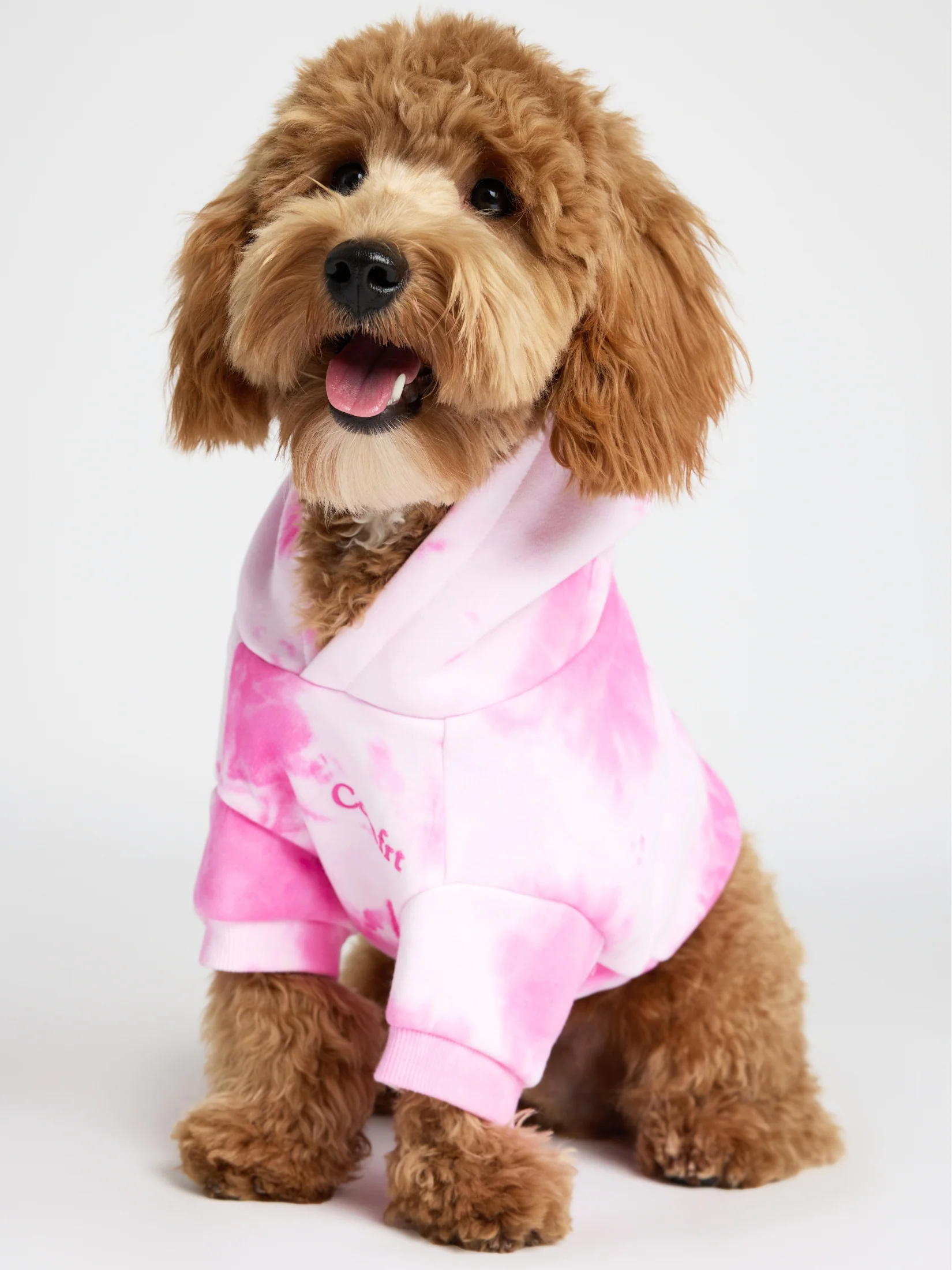 Minimalist Paw Hoodie - Pre-Order