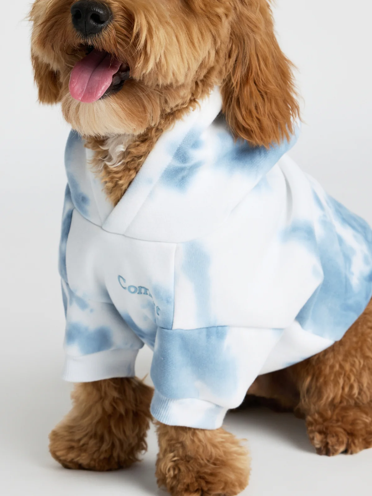 Minimalist Paw Hoodie - Pre-Order 11 Minimalist Paw Hoodie - Pre-Order