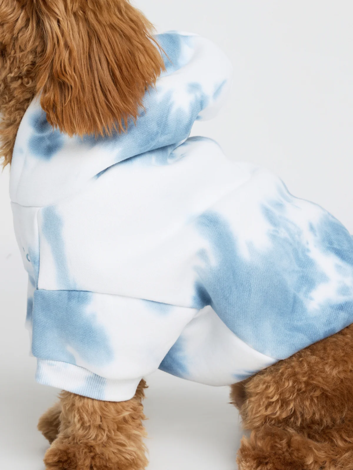 Minimalist Paw Hoodie - Pre-Order 12 Minimalist Paw Hoodie - Pre-Order