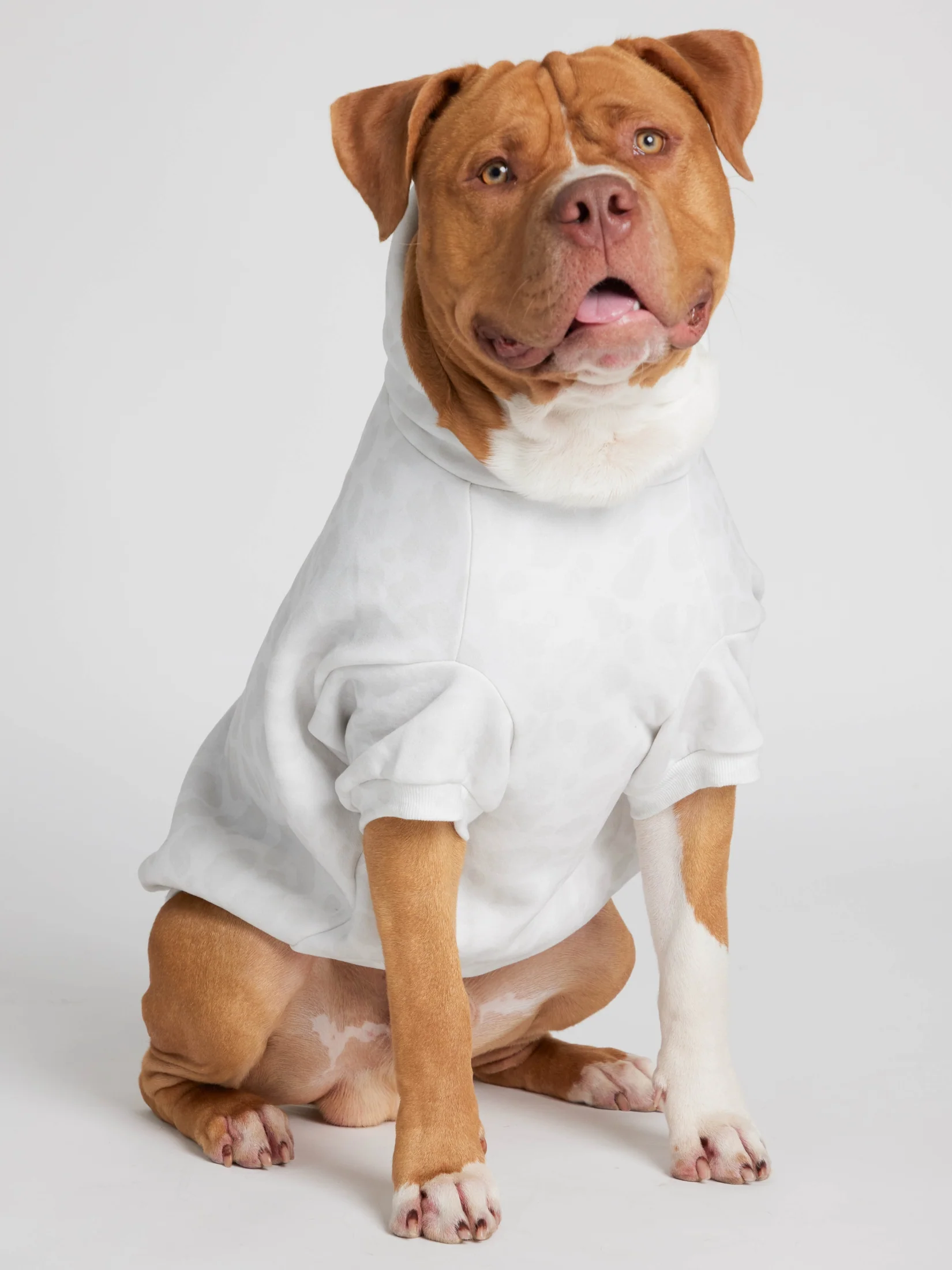 Minimalist Paw Hoodie - Pre-Order 13 Minimalist Paw Hoodie - Pre-Order