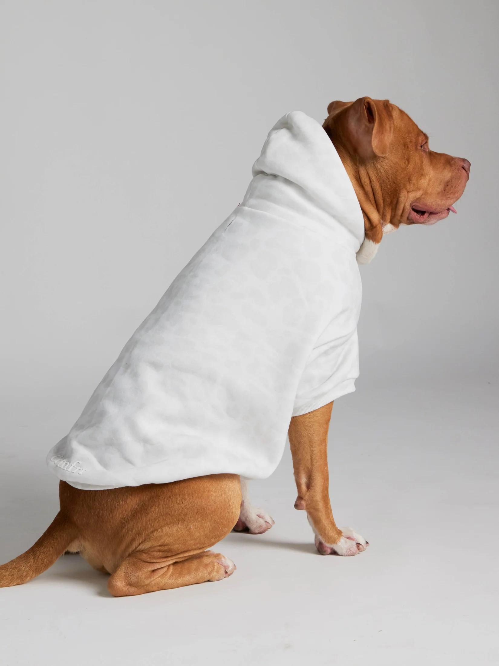 Minimalist Paw Hoodie - Pre-Order 14 Minimalist Paw Hoodie - Pre-Order