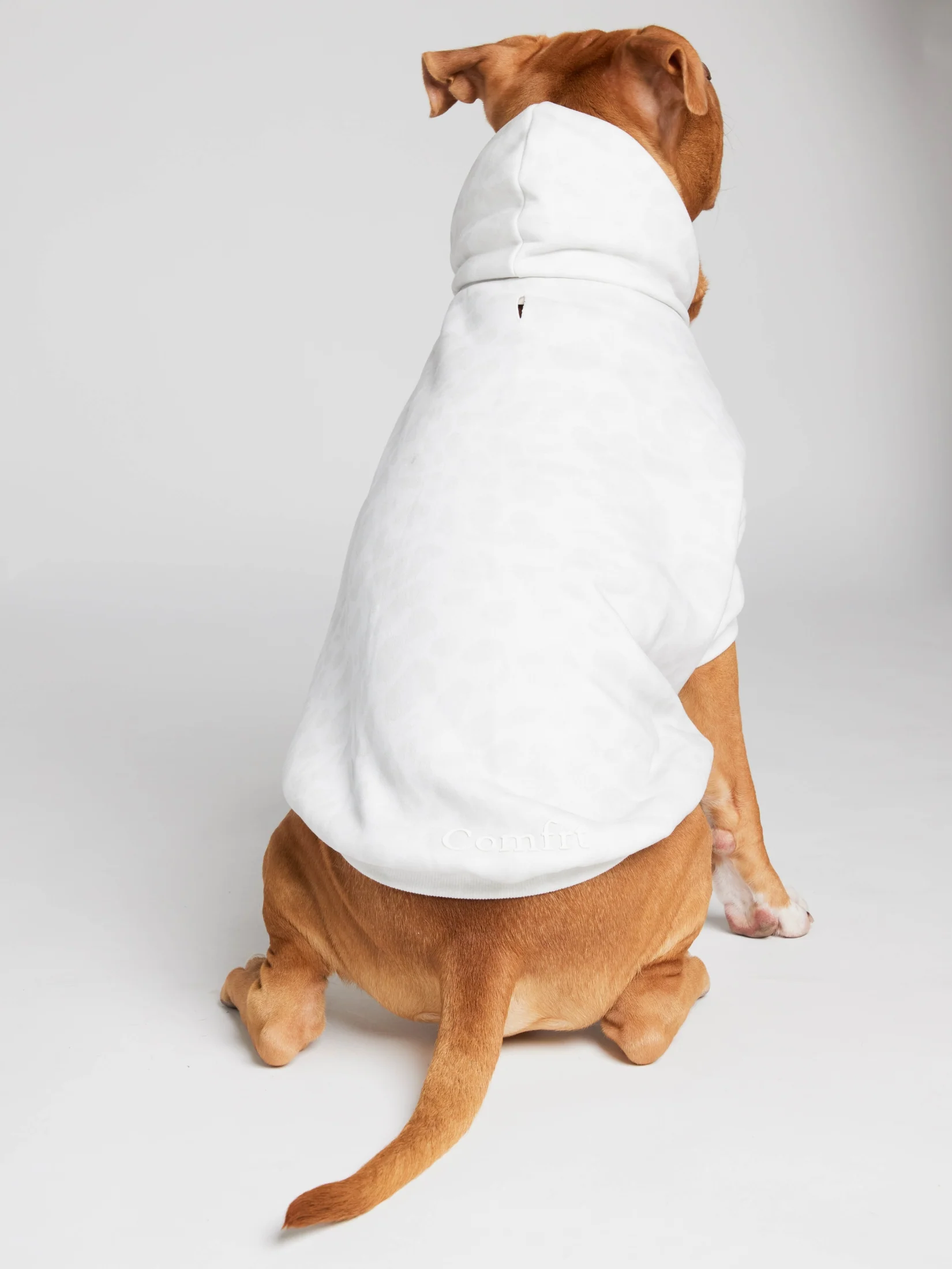 Minimalist Paw Hoodie - Pre-Order 15 Minimalist Paw Hoodie - Pre-Order