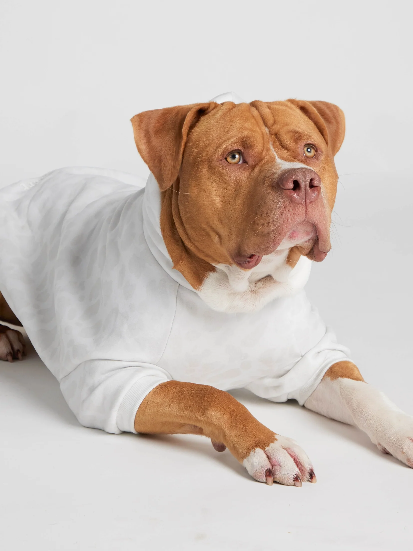 Minimalist Paw Hoodie - Pre-Order 18 Minimalist Paw Hoodie - Pre-Order