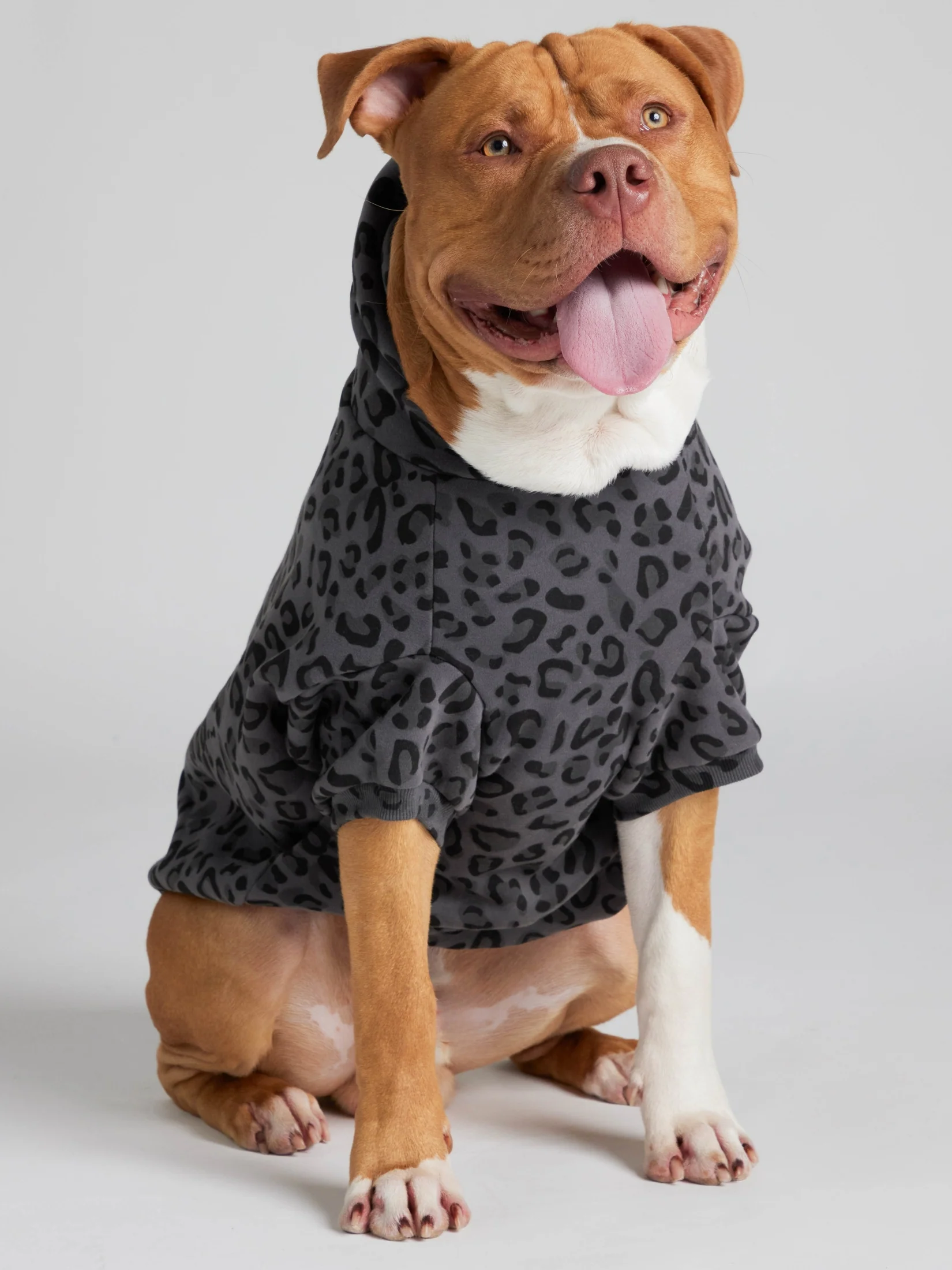 Minimalist Paw Hoodie - Pre-Order 19 Minimalist Paw Hoodie - Pre-Order