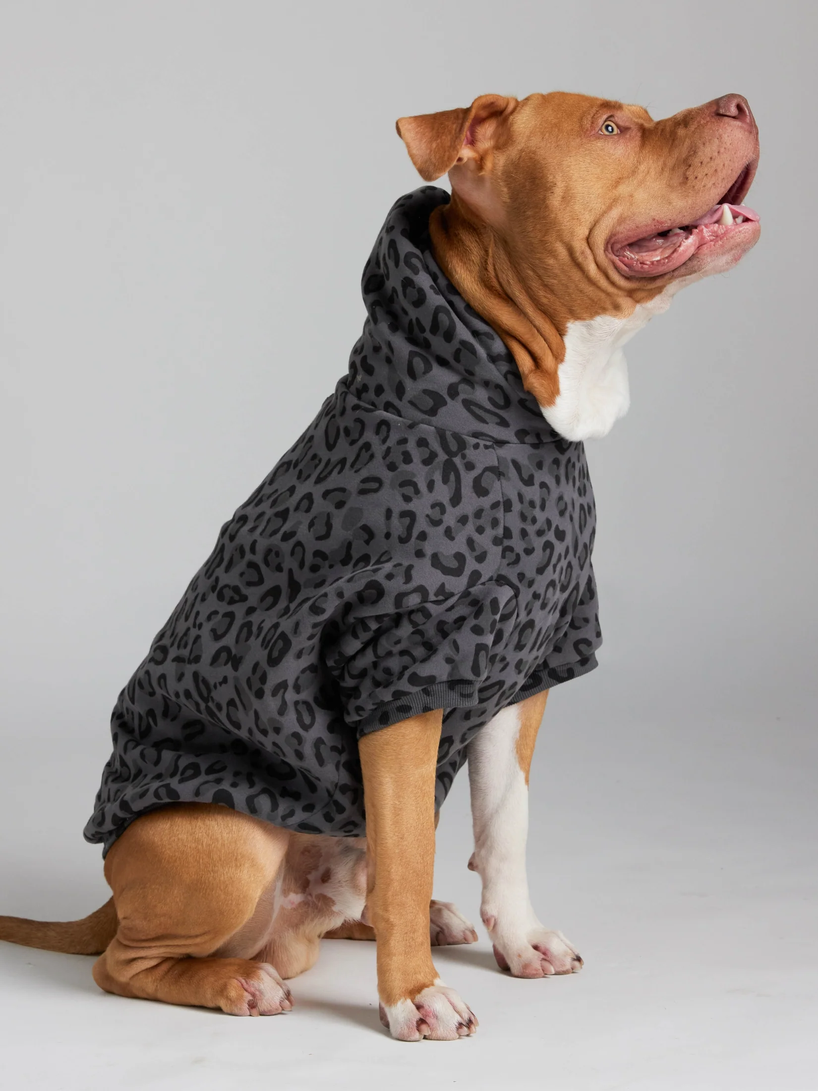 Minimalist Paw Hoodie - Pre-Order 20 Minimalist Paw Hoodie - Pre-Order