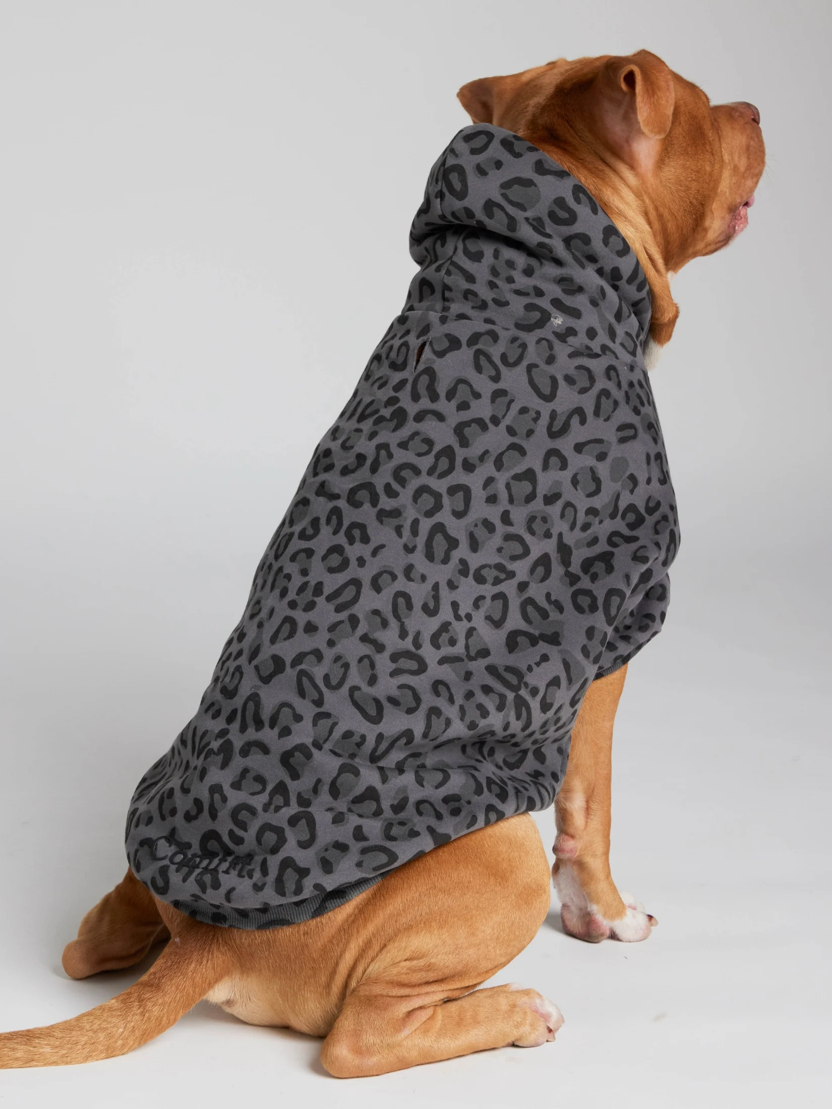 Minimalist Paw Hoodie - Pre-Order 21 Minimalist Paw Hoodie - Pre-Order