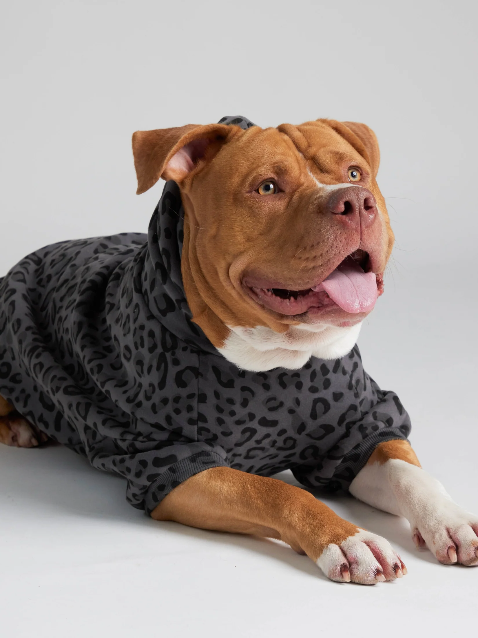 Minimalist Paw Hoodie - Pre-Order 23 Minimalist Paw Hoodie - Pre-Order