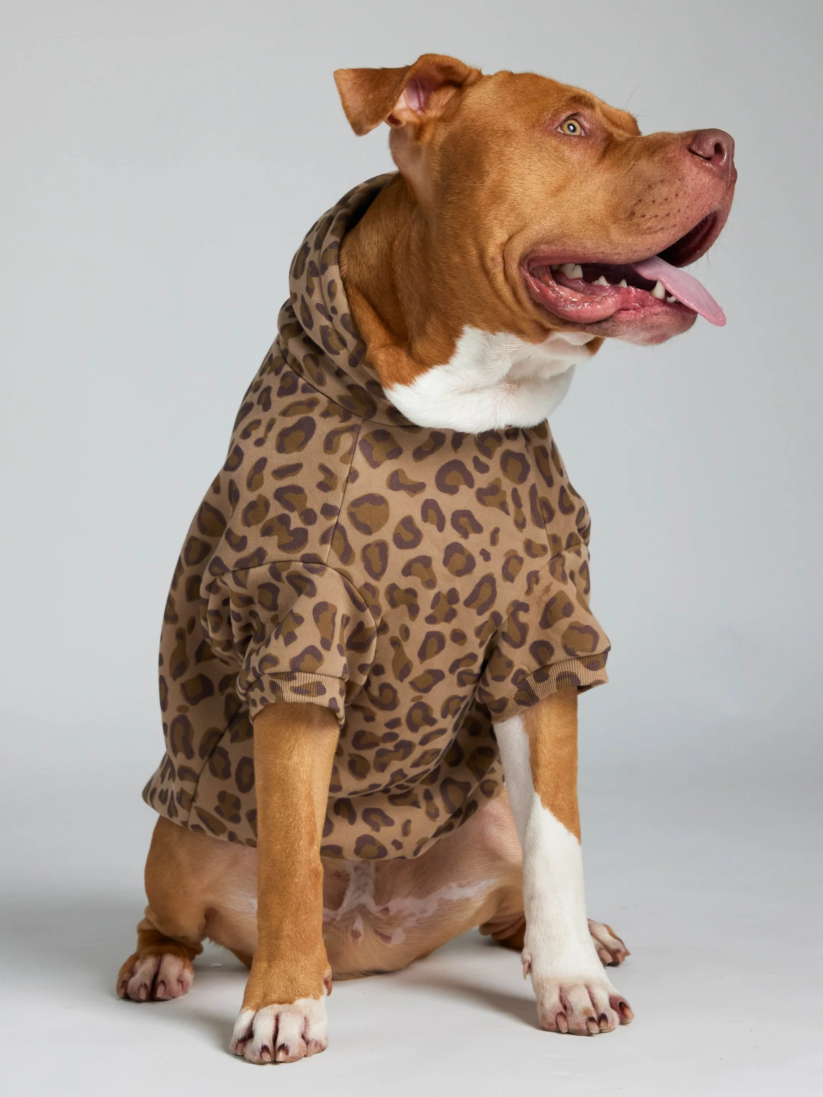 Minimalist Paw Hoodie - Pre-Order 25 Minimalist Paw Hoodie - Pre-Order