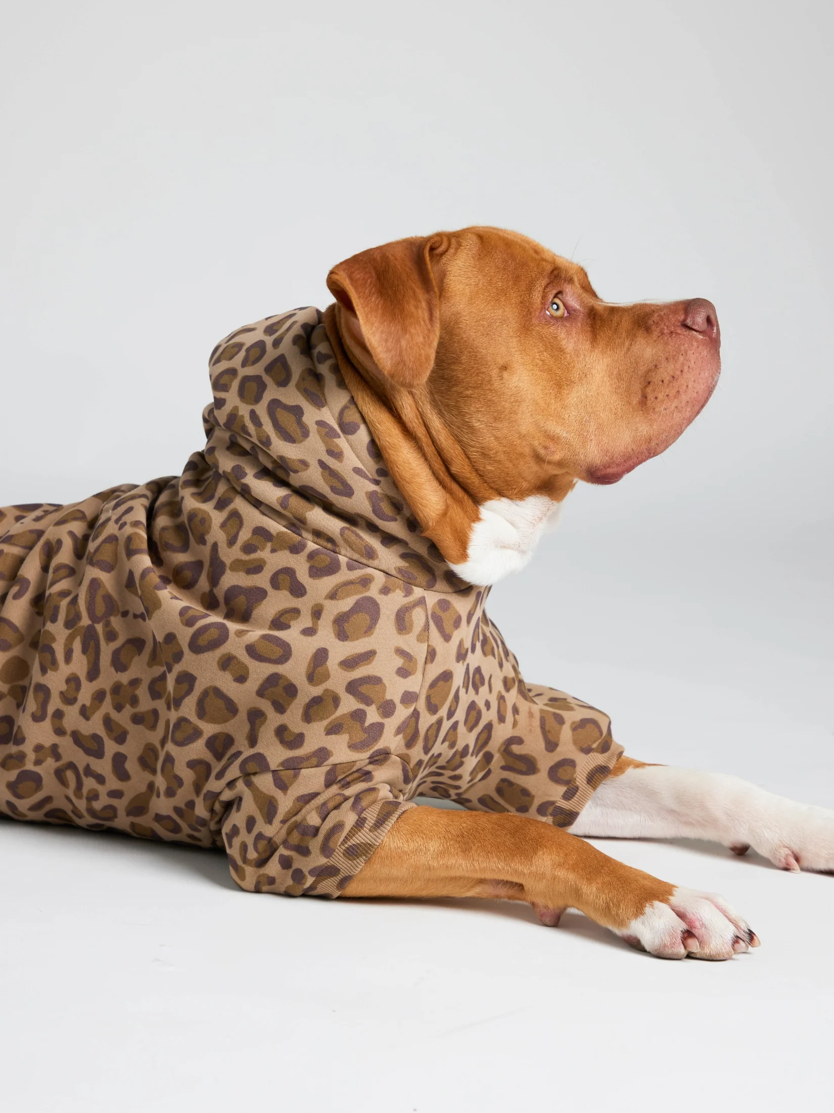 Minimalist Paw Hoodie - Pre-Order 27 Minimalist Paw Hoodie - Pre-Order