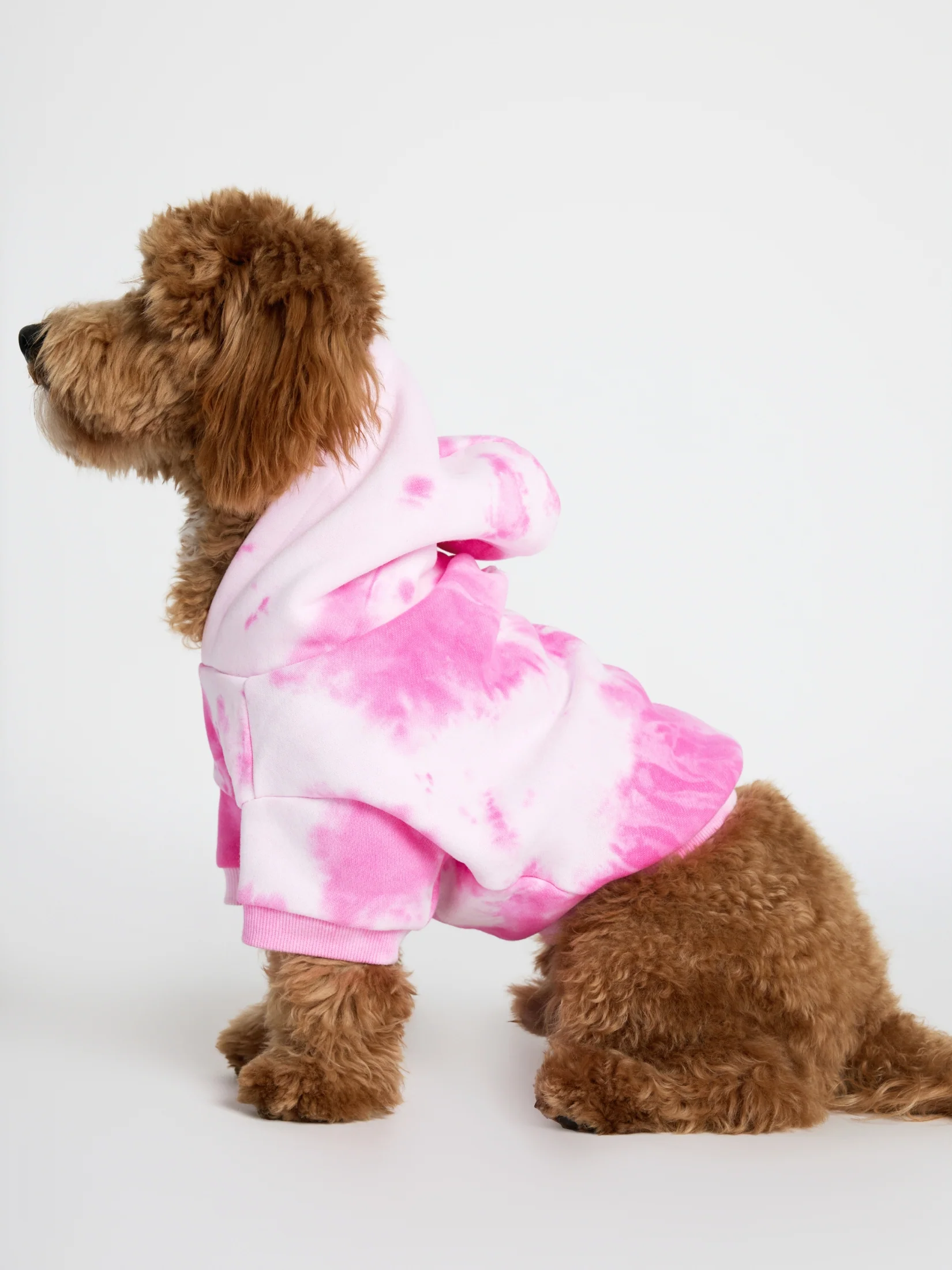 Minimalist Paw Hoodie - Pre-Order 3 Minimalist Paw Hoodie - Pre-Order