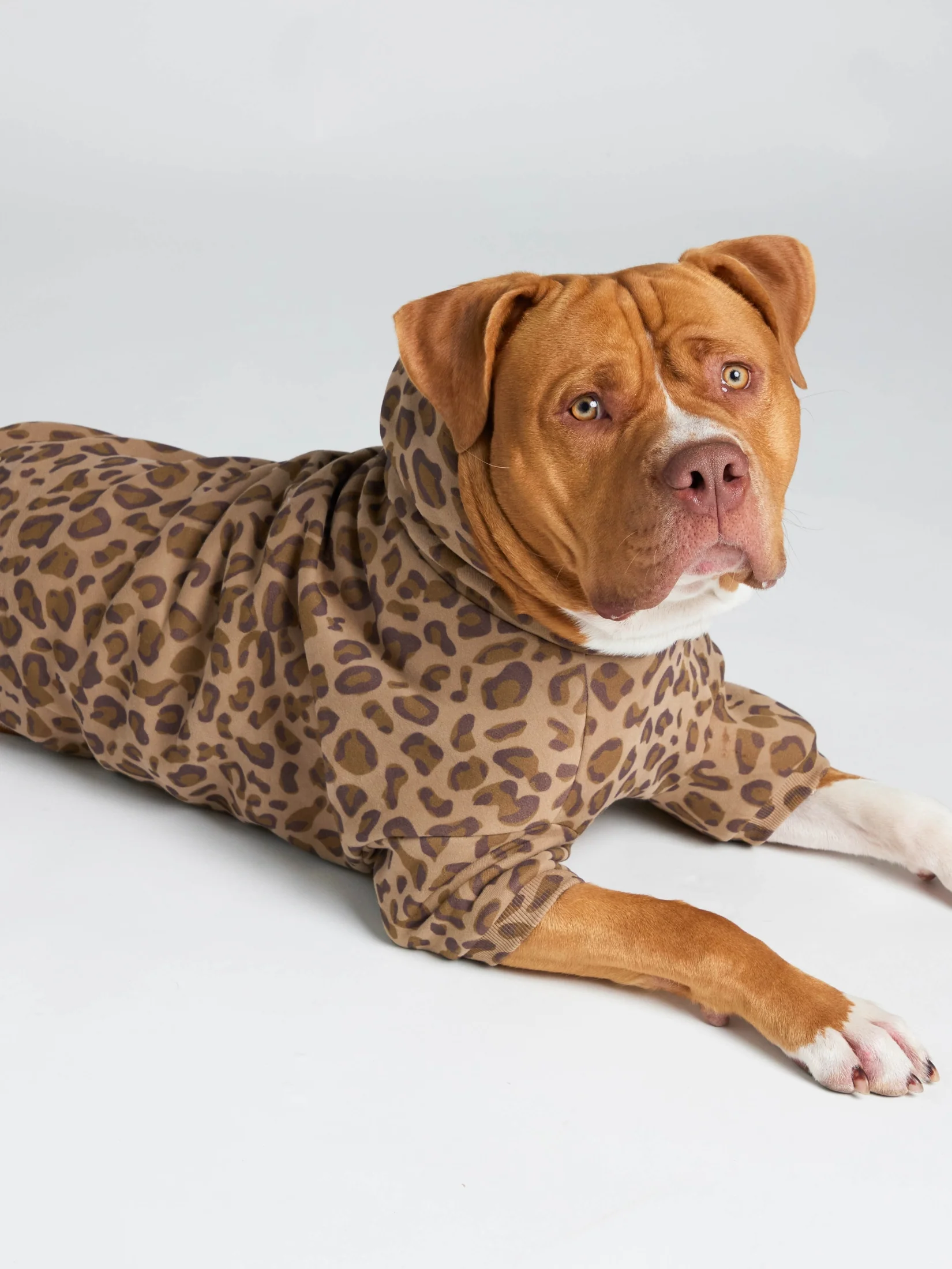 Minimalist Paw Hoodie - Pre-Order 30 Minimalist Paw Hoodie - Pre-Order