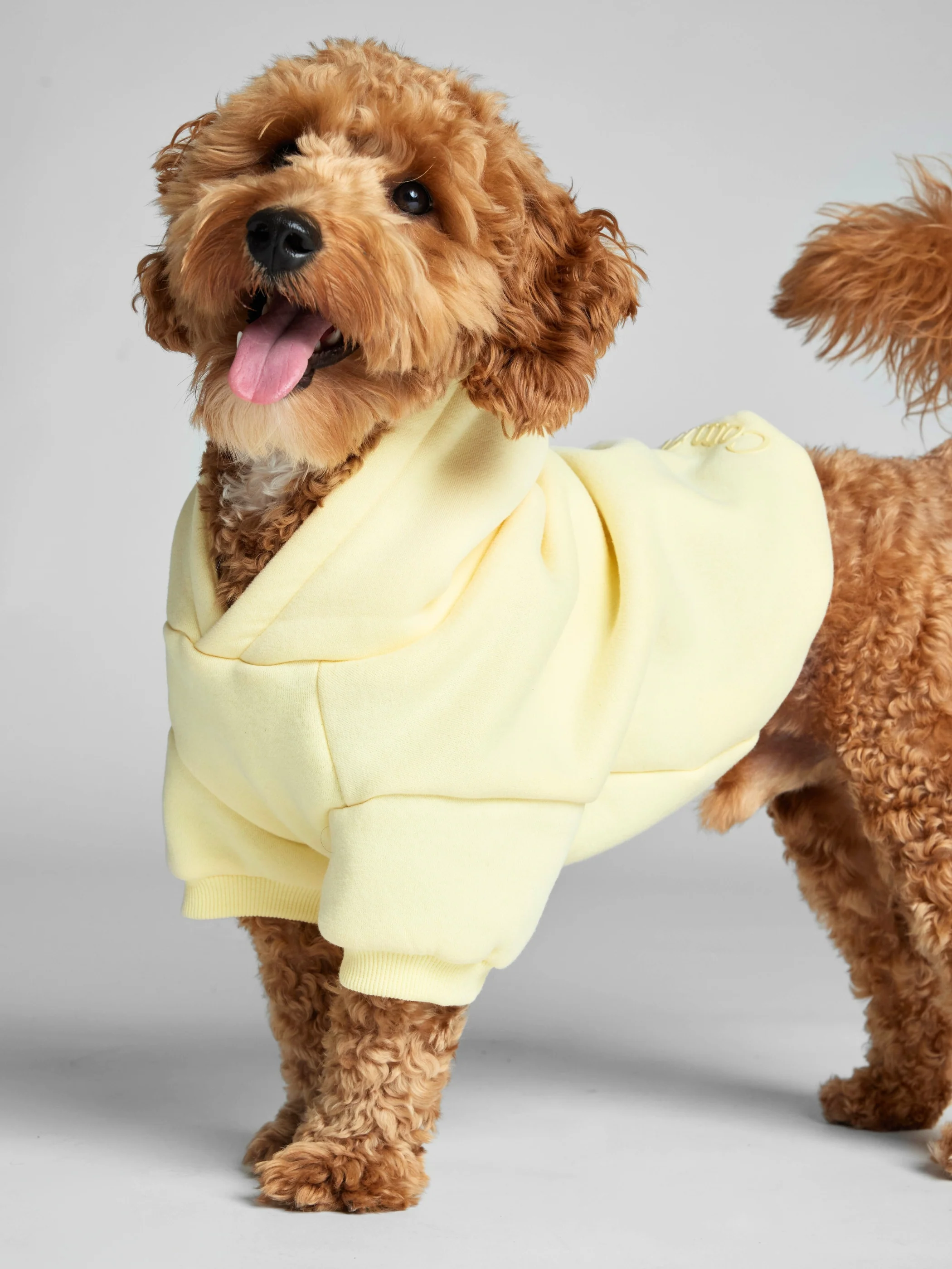 Minimalist Paw Hoodie - Pre-Order 31 Minimalist Paw Hoodie - Pre-Order