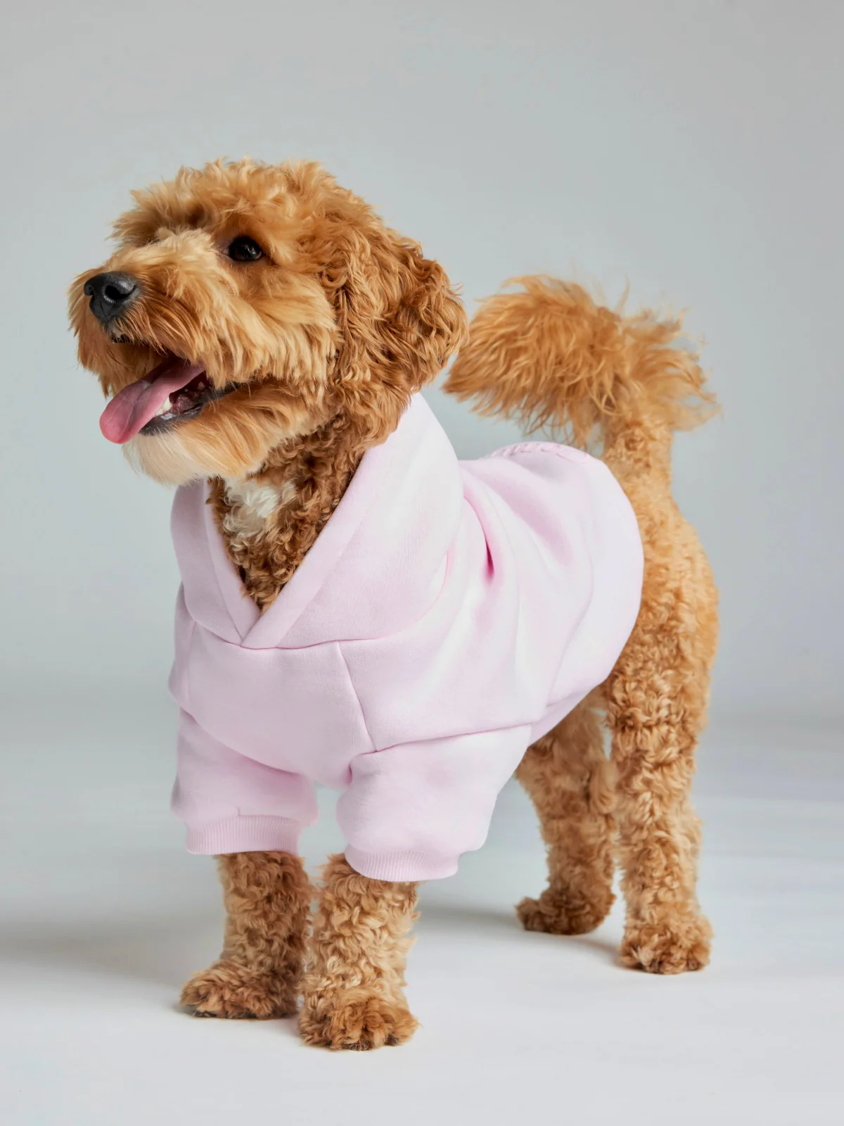 Minimalist Paw Hoodie - Pre-Order 32 Minimalist Paw Hoodie - Pre-Order