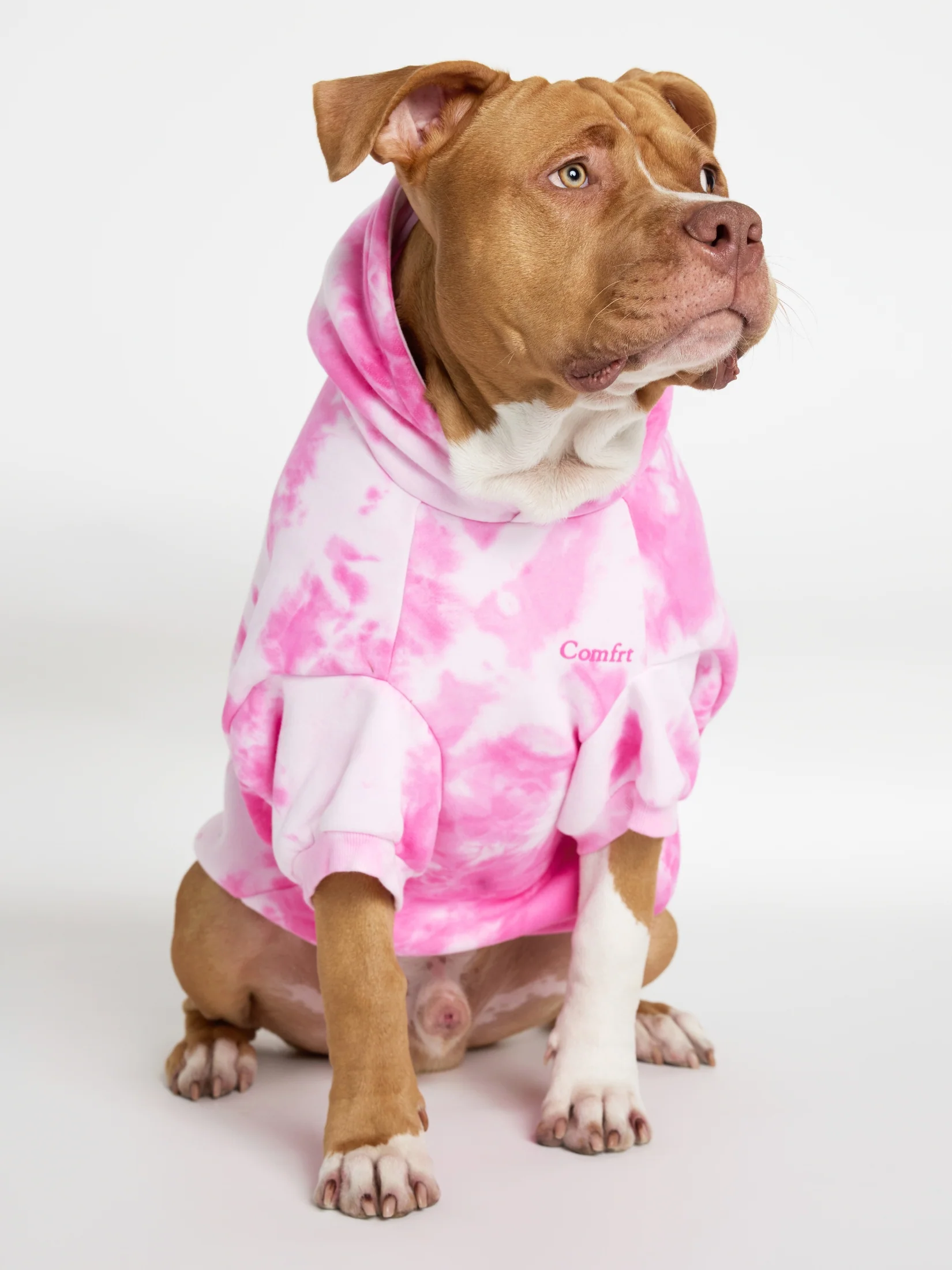 Minimalist Paw Hoodie - Pre-Order 4 Minimalist Paw Hoodie - Pre-Order