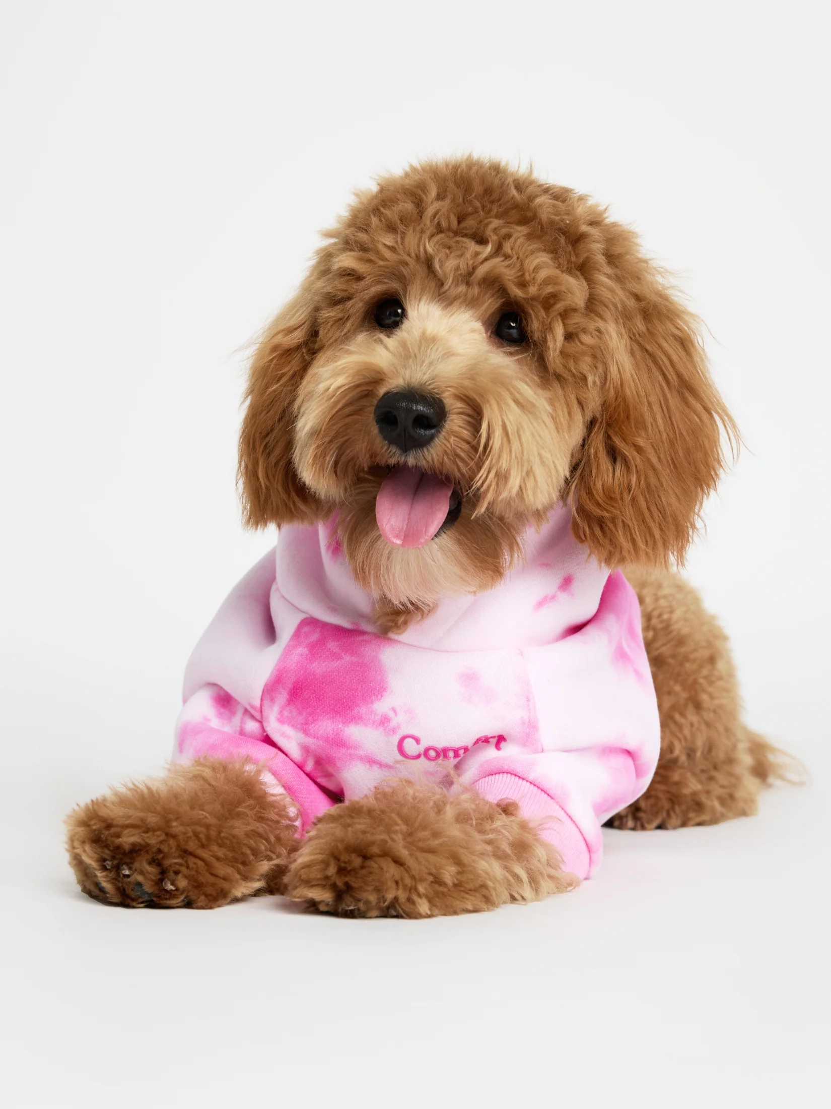 Minimalist Paw Hoodie - Pre-Order 5 Minimalist Paw Hoodie - Pre-Order