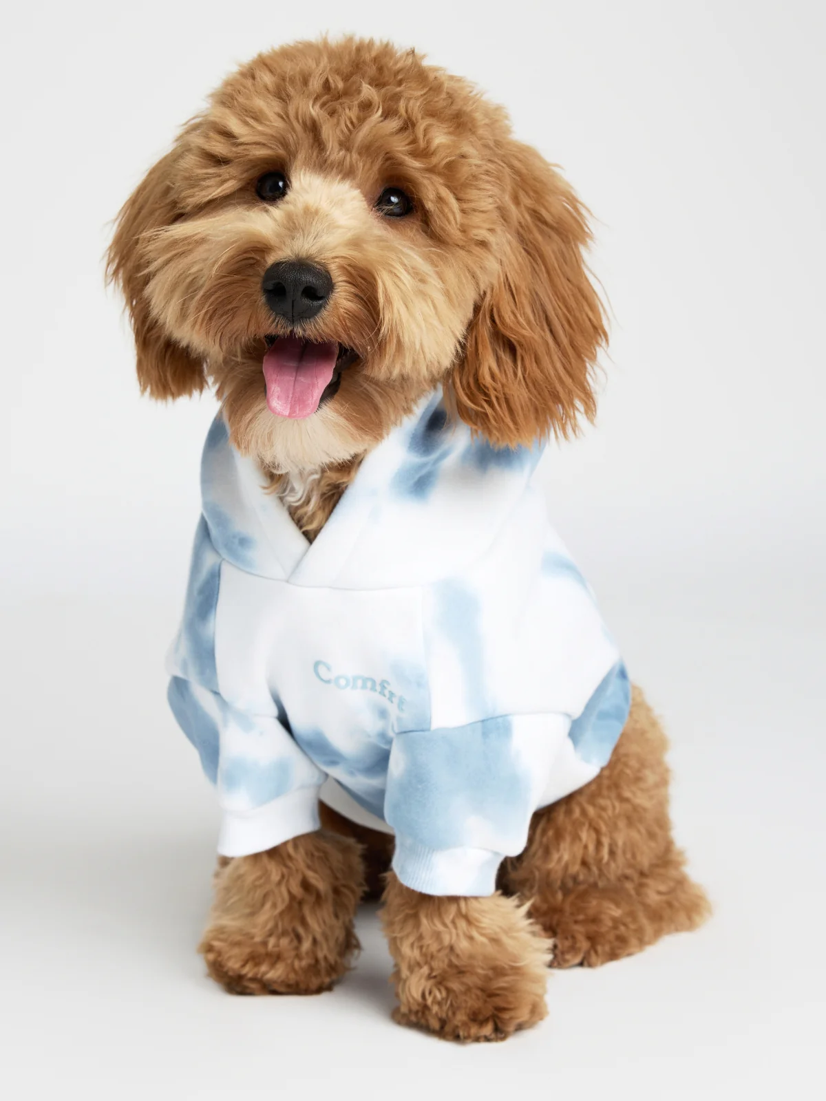 Minimalist Paw Hoodie - Pre-Order 7 Minimalist Paw Hoodie - Pre-Order