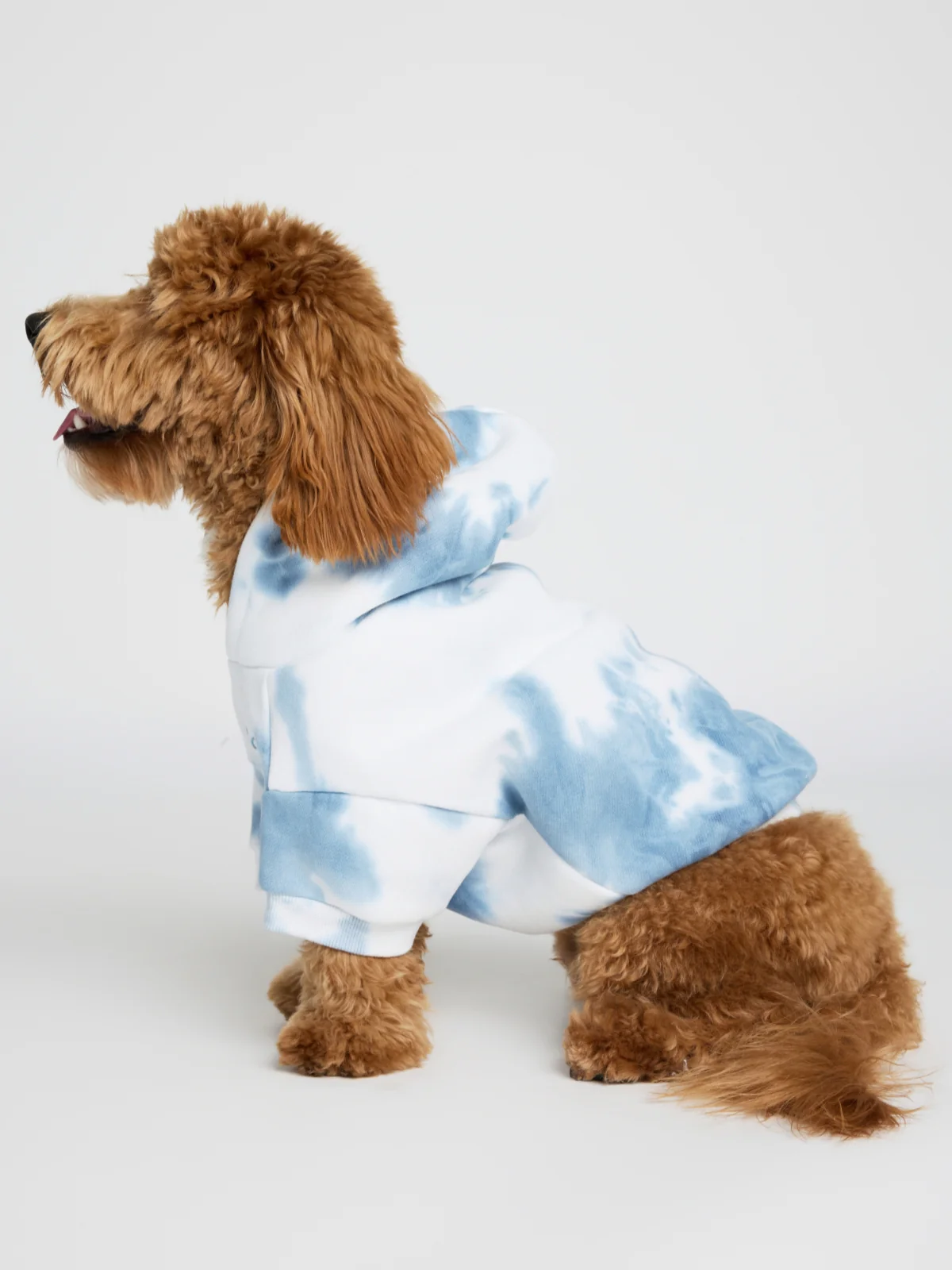 Minimalist Paw Hoodie - Pre-Order 8 Minimalist Paw Hoodie - Pre-Order