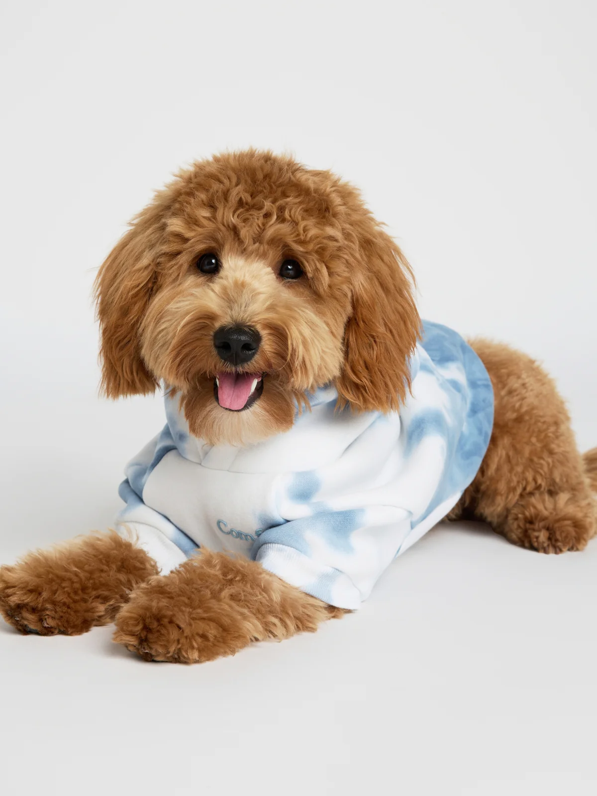 Minimalist Paw Hoodie - Pre-Order 9 Minimalist Paw Hoodie - Pre-Order