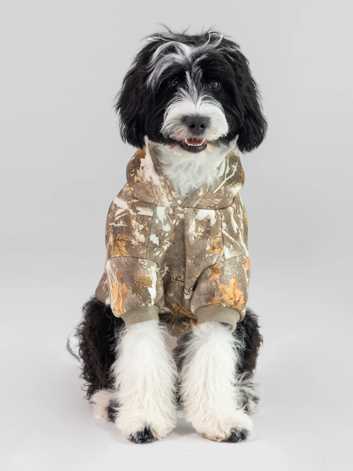 Camo Paw Hoodie - Pre-Order