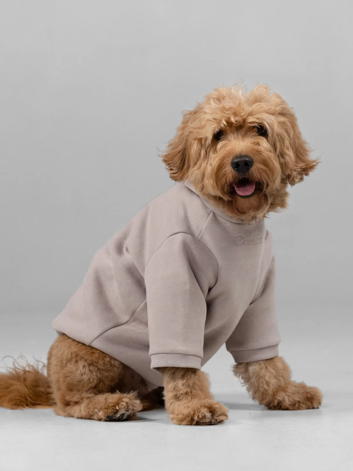 Signature Paw Hoodie -Pre Order 10 Signature Paw Hoodie -Pre Order