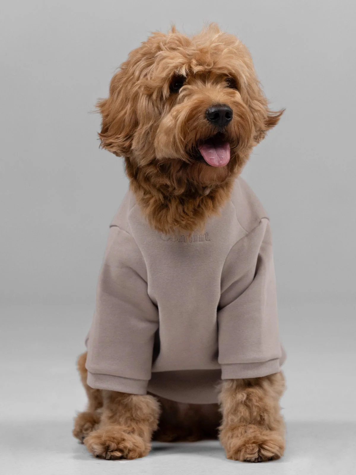 Signature Paw Hoodie -Pre Order 11 Signature Paw Hoodie -Pre Order