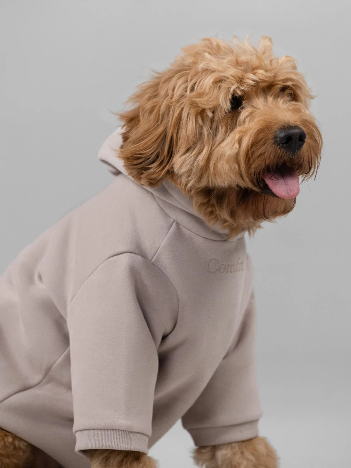 Signature Paw Hoodie -Pre Order 13 Signature Paw Hoodie -Pre Order