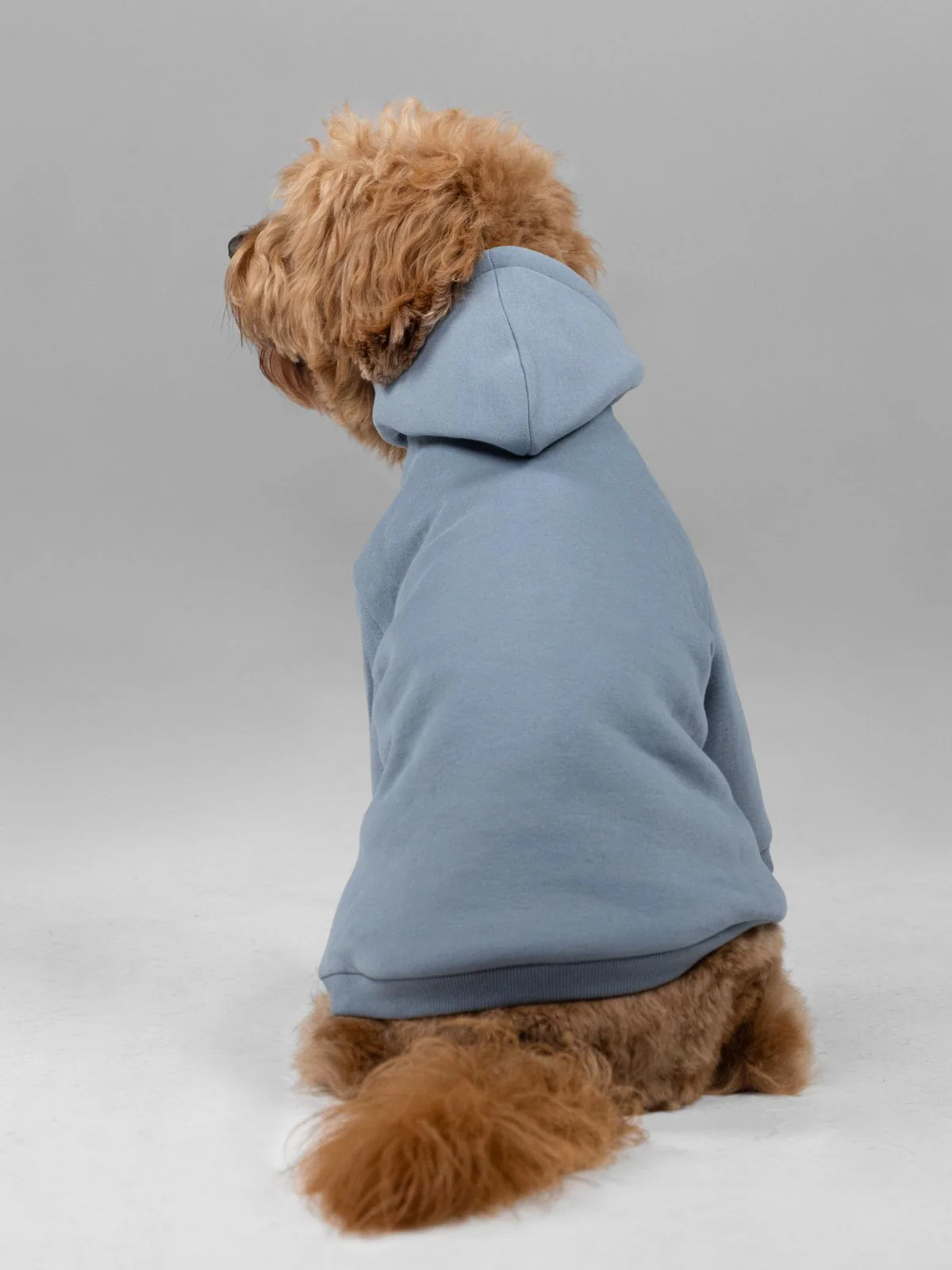 Signature Paw Hoodie -Pre Order 15 Signature Paw Hoodie -Pre Order